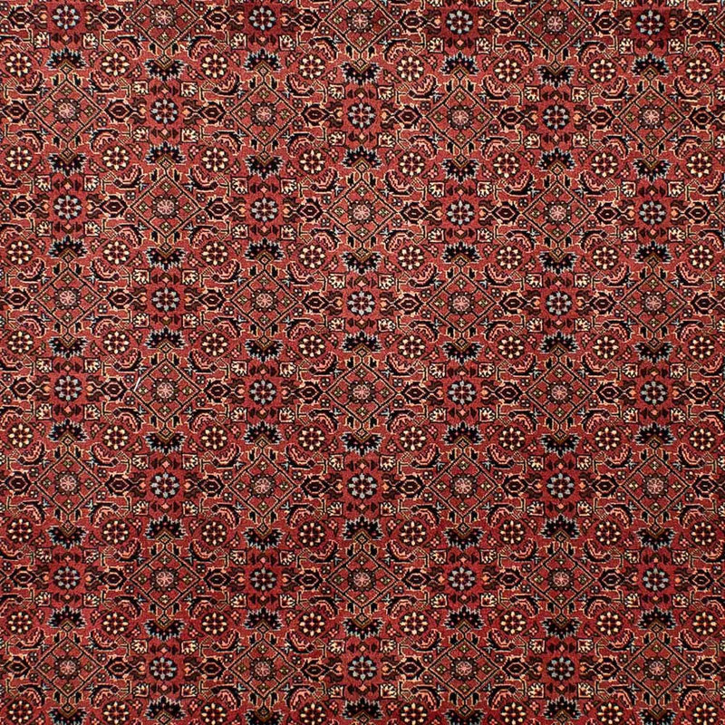 Perserteppich - Bidjar 292 x 203 cm