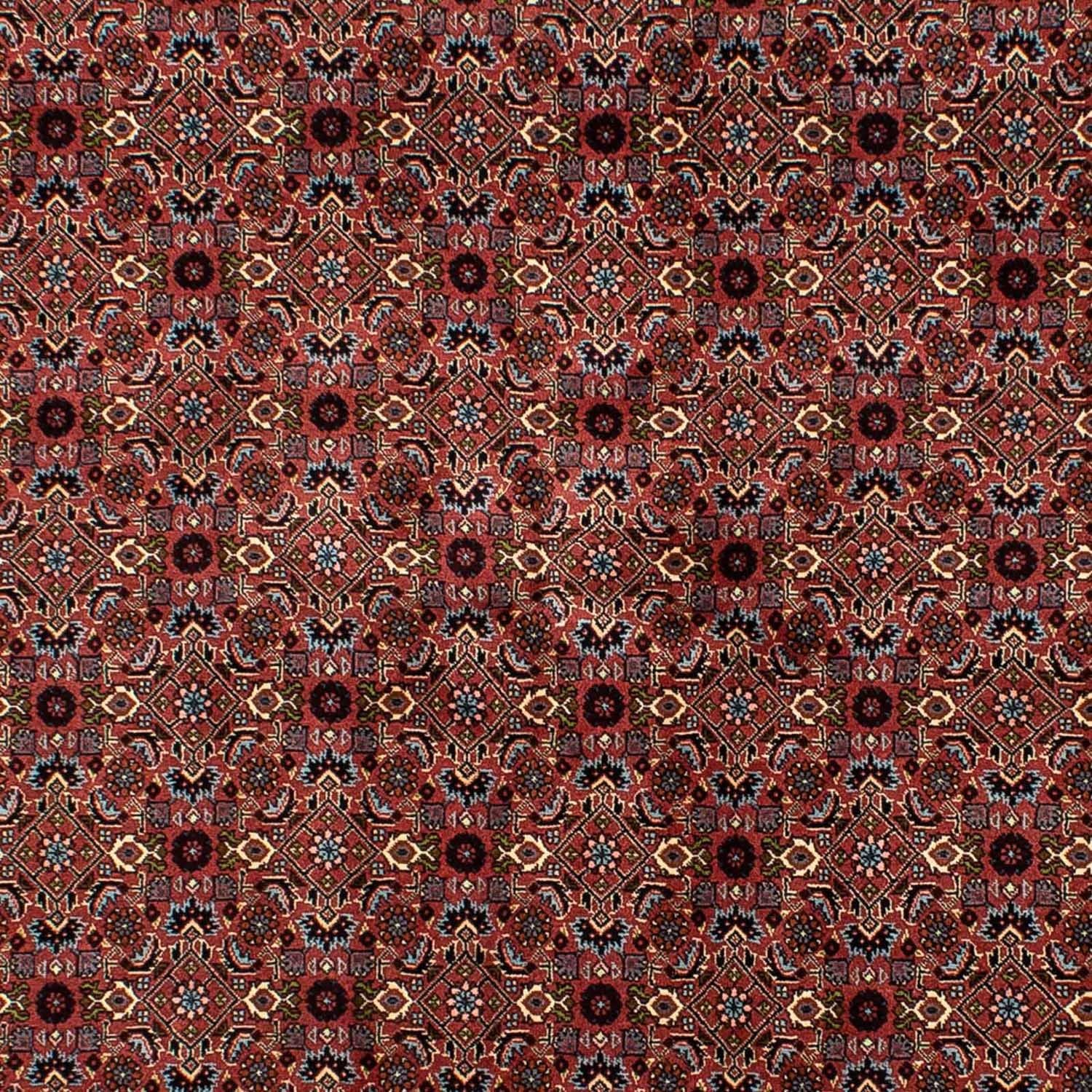 Perserteppich - Bidjar 257 x 178 cm
