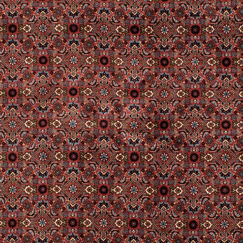 Perserteppich - Bidjar 257 x 178 cm