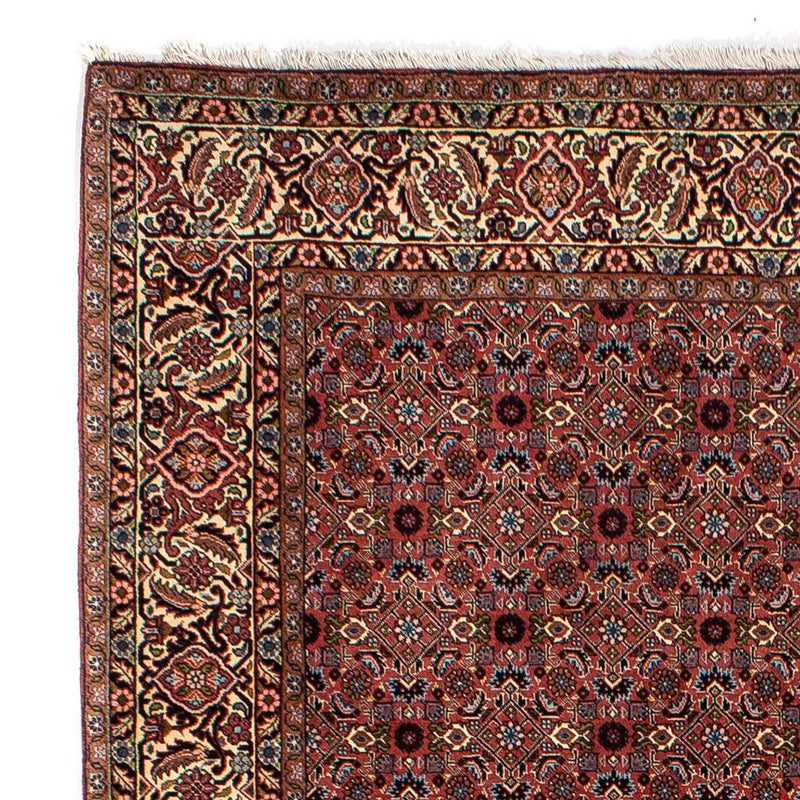 Perserteppich - Bidjar 257 x 178 cm