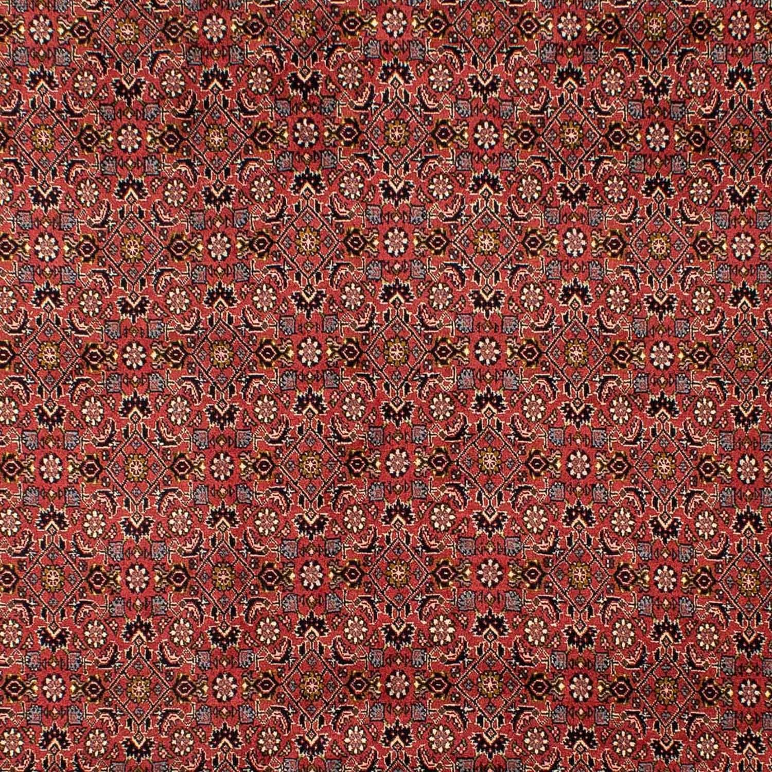 Perserteppich - Bidjar 293 x 206 cm