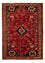 Perserteppich - Nomadic 244 x 168 cm