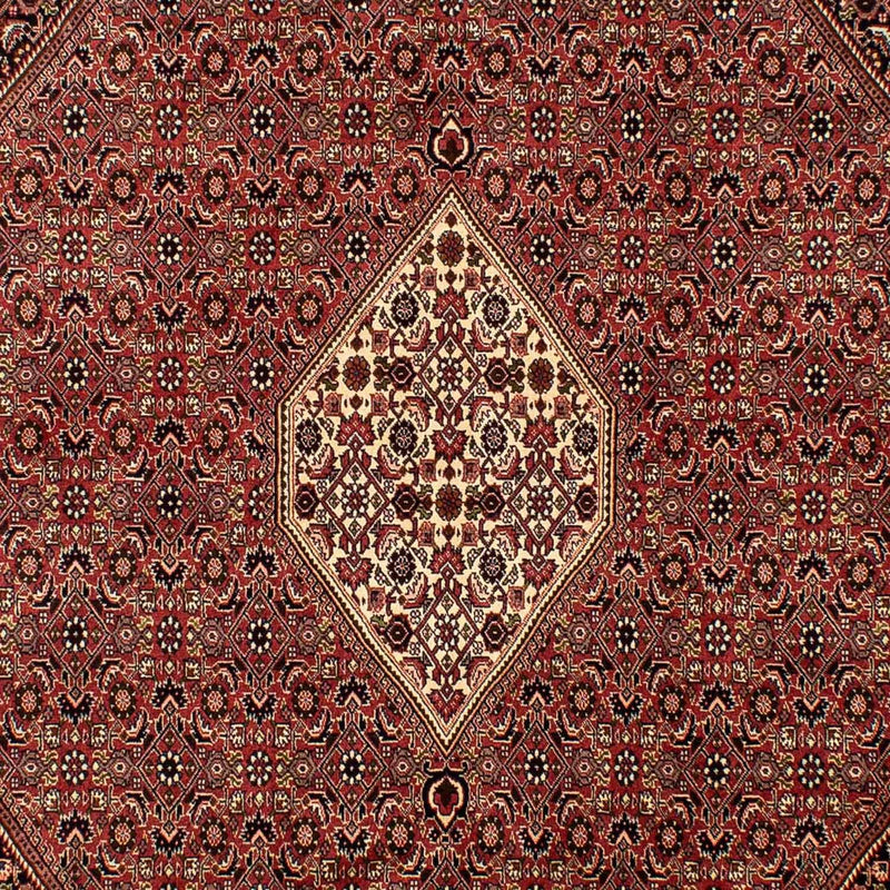 Perserteppich - Bidjar 288 x 200 cm