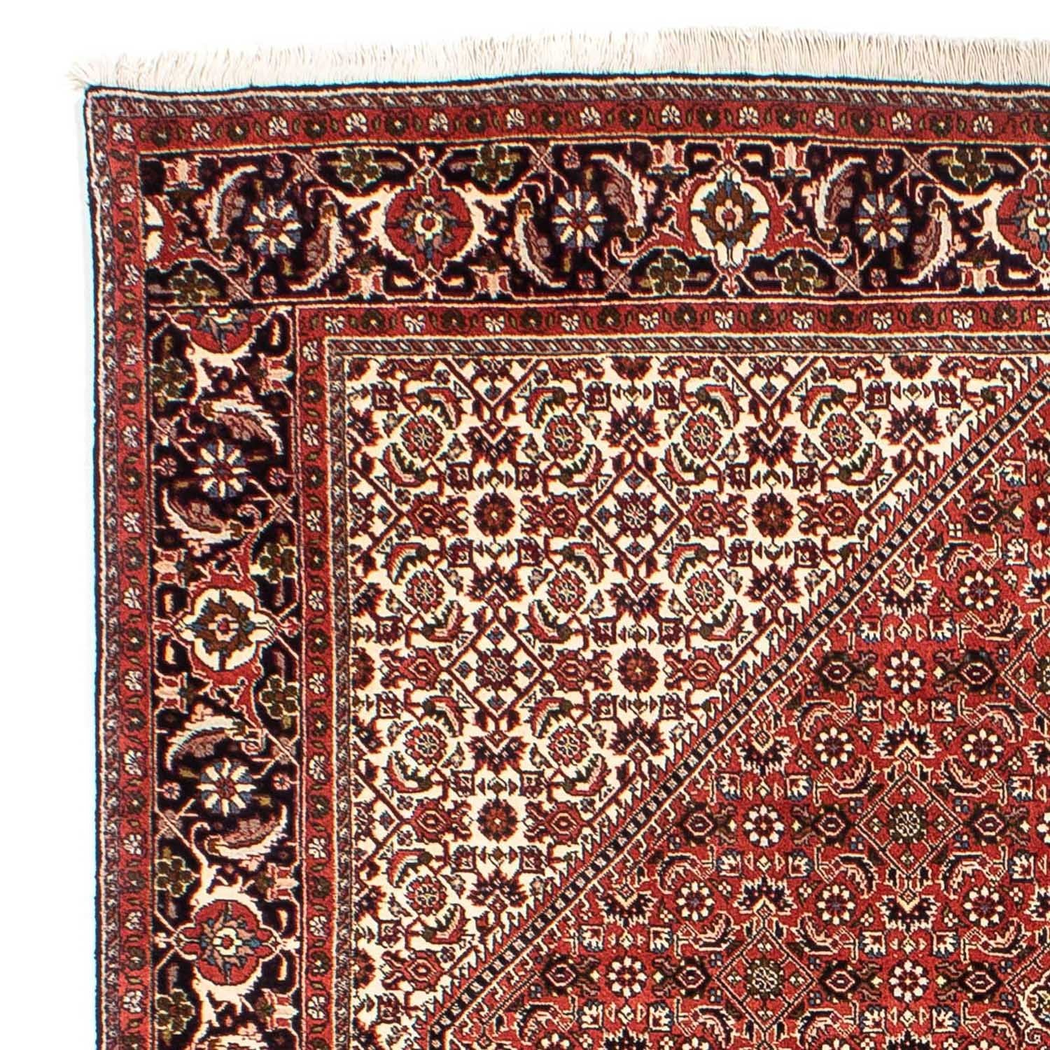 Perserteppich - Bidjar 242 x 173 cm