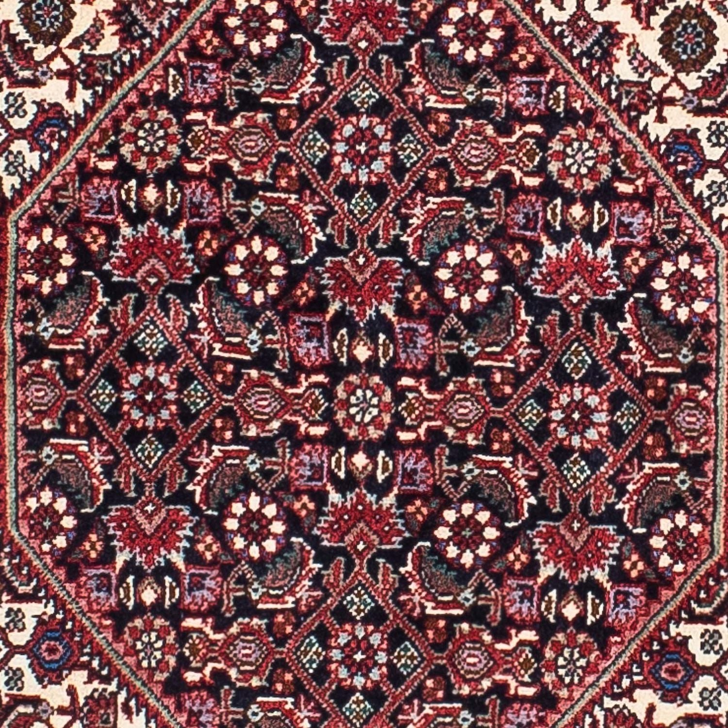 Perserteppich - Bidjar - Royal 210 x 132 cm