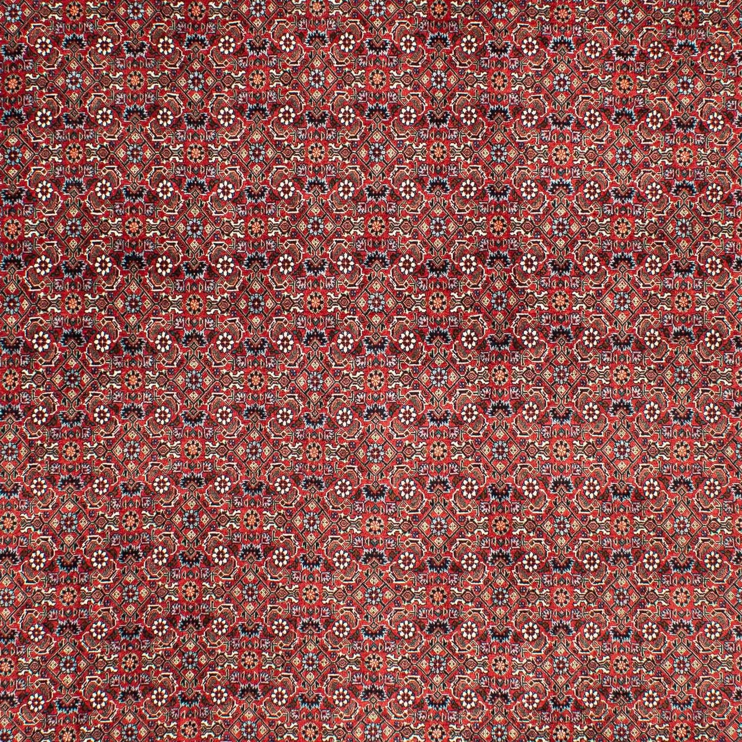 Perserteppich - Bidjar 290 x 203 cm - dunkelrot