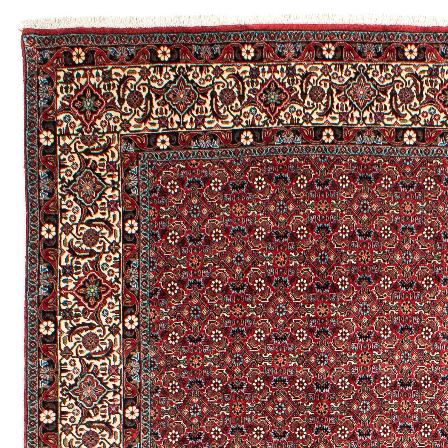 Perserteppich - Bidjar 290 x 203 cm - dunkelrot