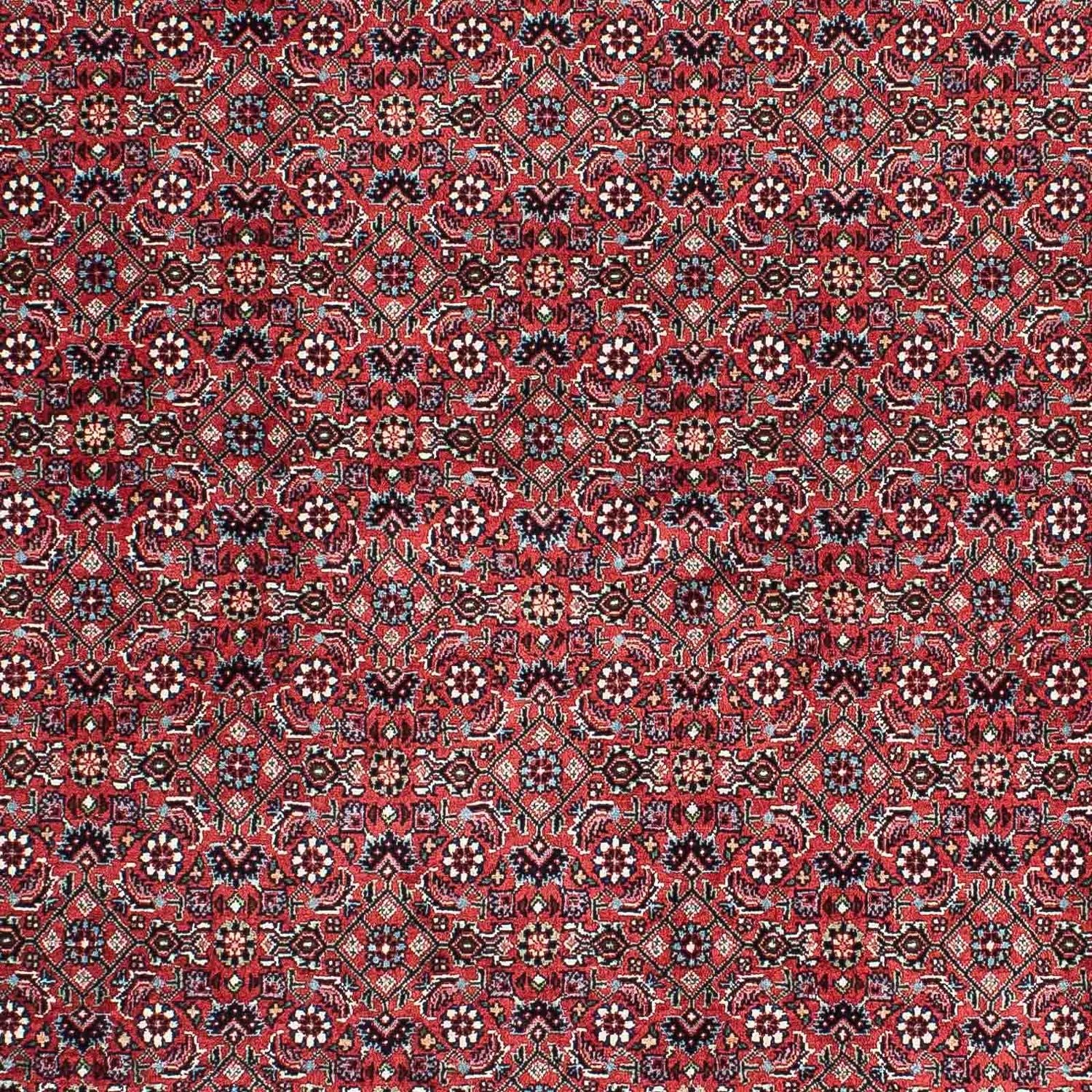 Perserteppich - Bidjar - Royal 212 x 130 cm