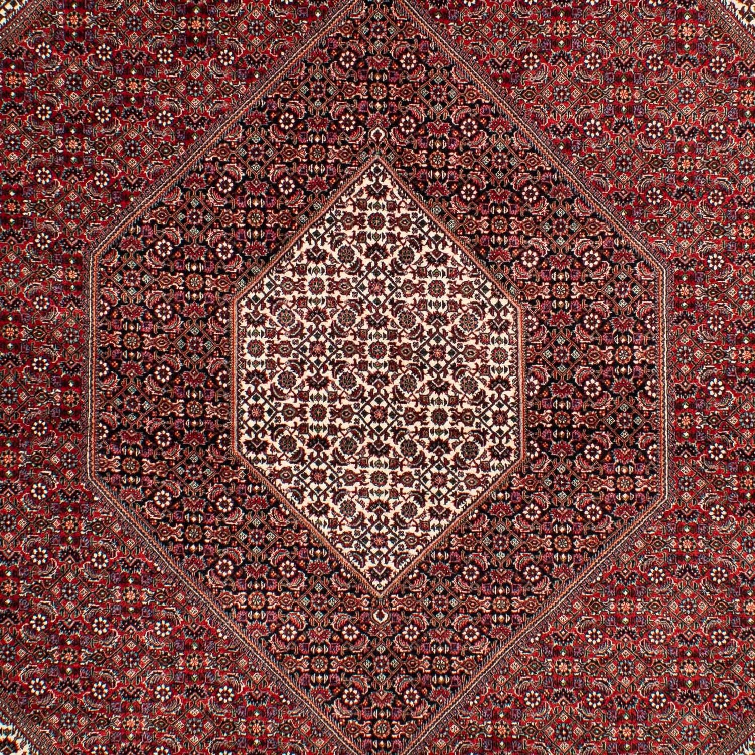 Perserteppich - Bidjar 304 x 204 cm