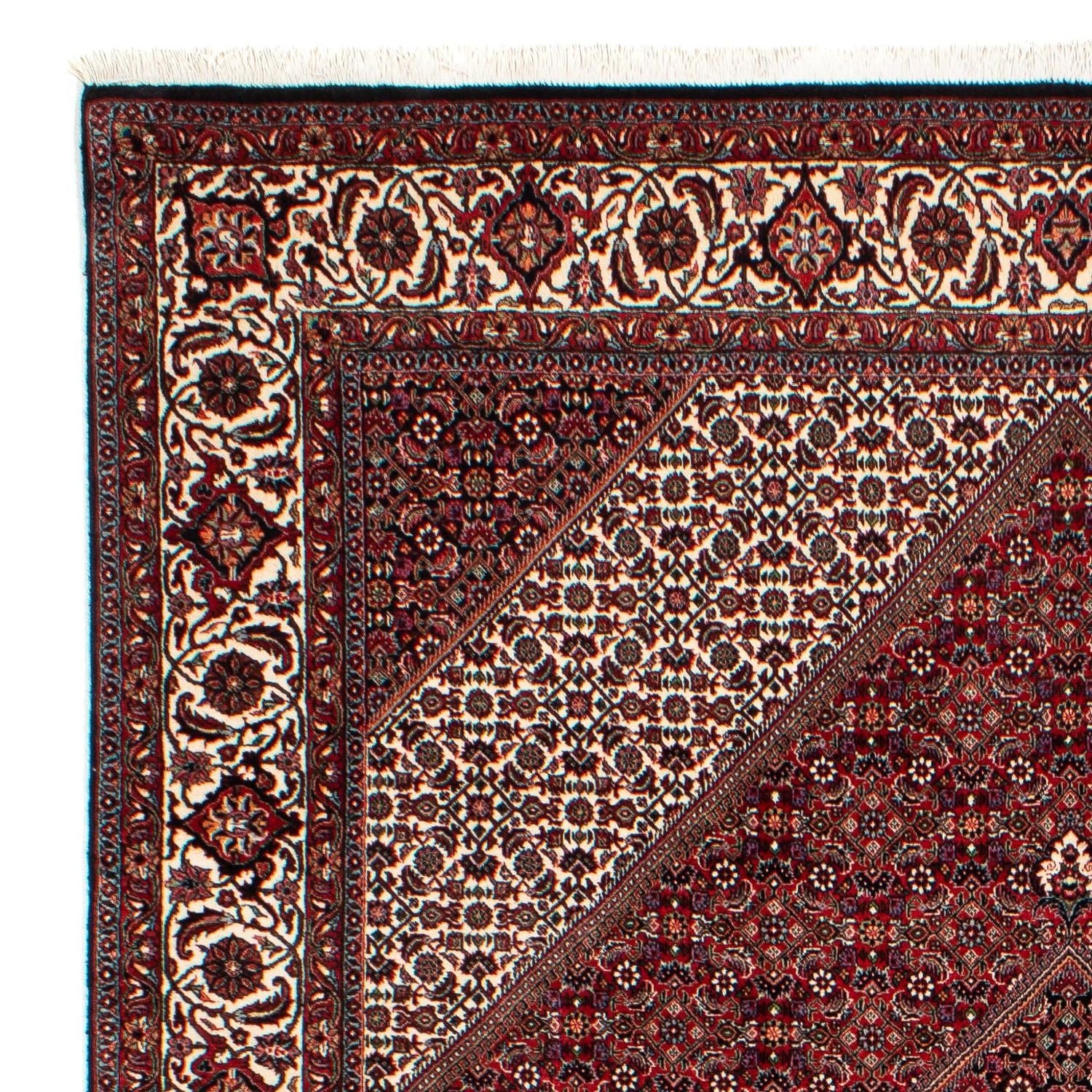 Perserteppich - Bidjar 304 x 204 cm