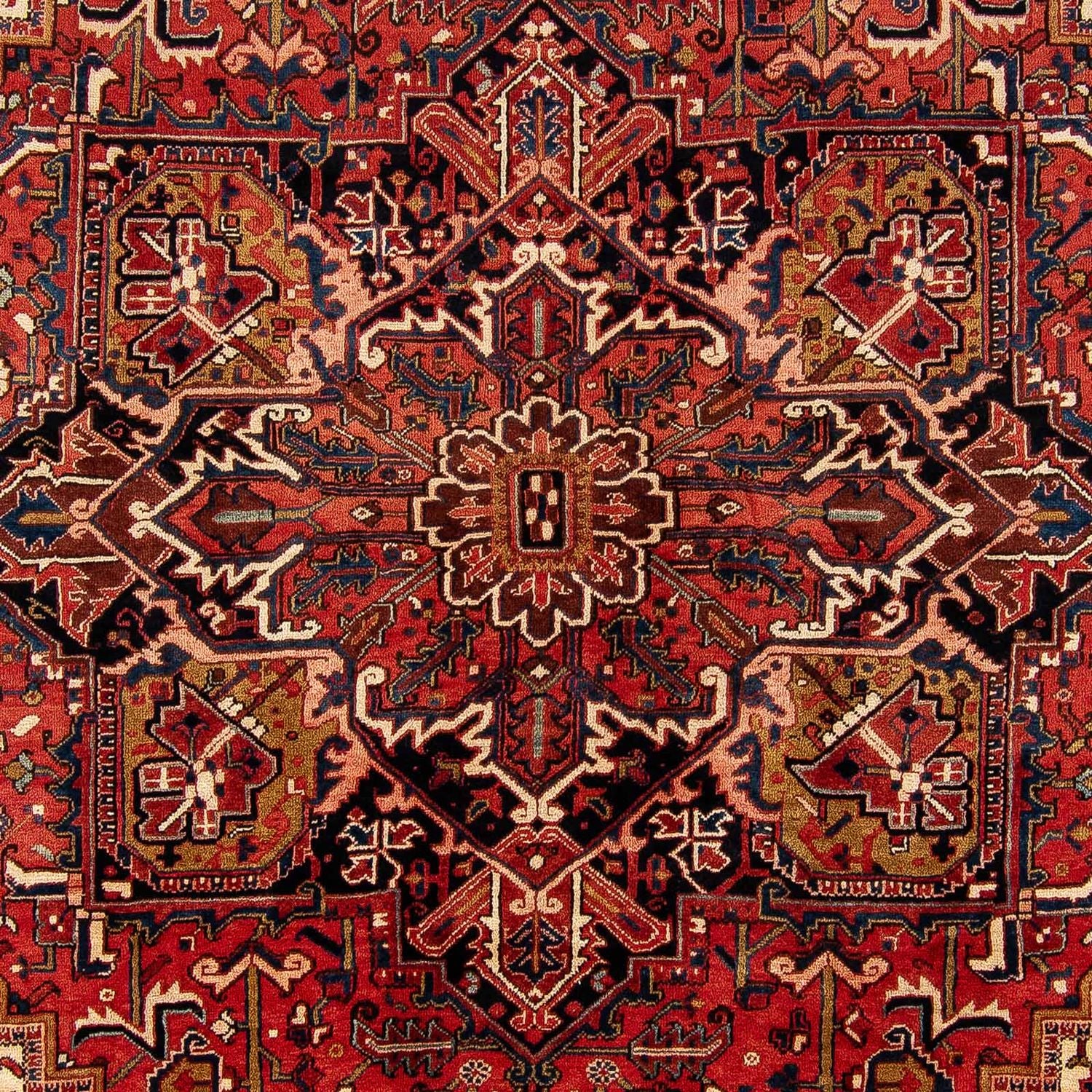 Perserteppich - Nomadic 368 x 286 cm