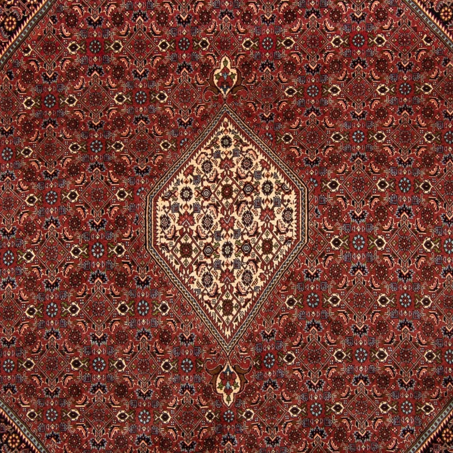 Perserteppich - Bidjar 329 x 255 cm