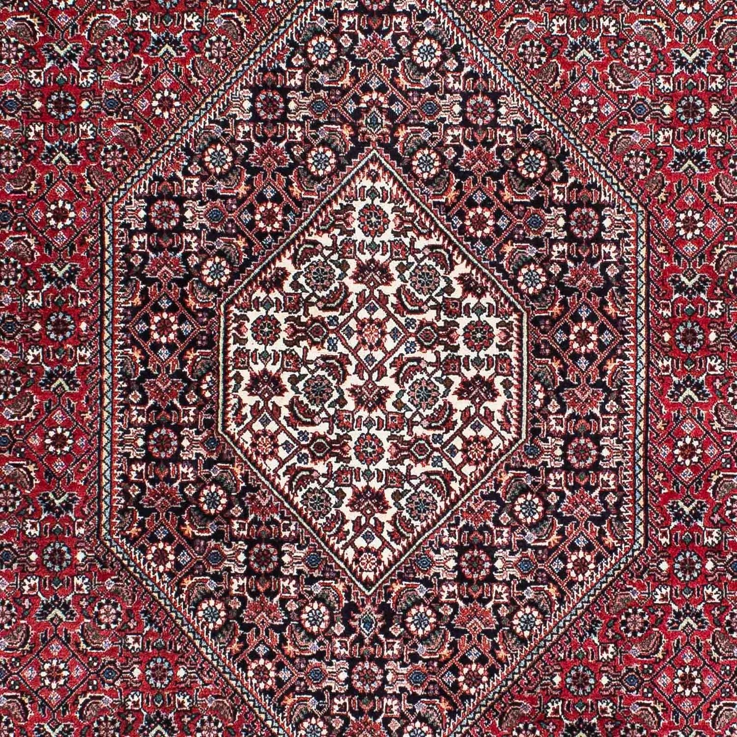Perserteppich - Bidjar - Royal 209 x 128 cm