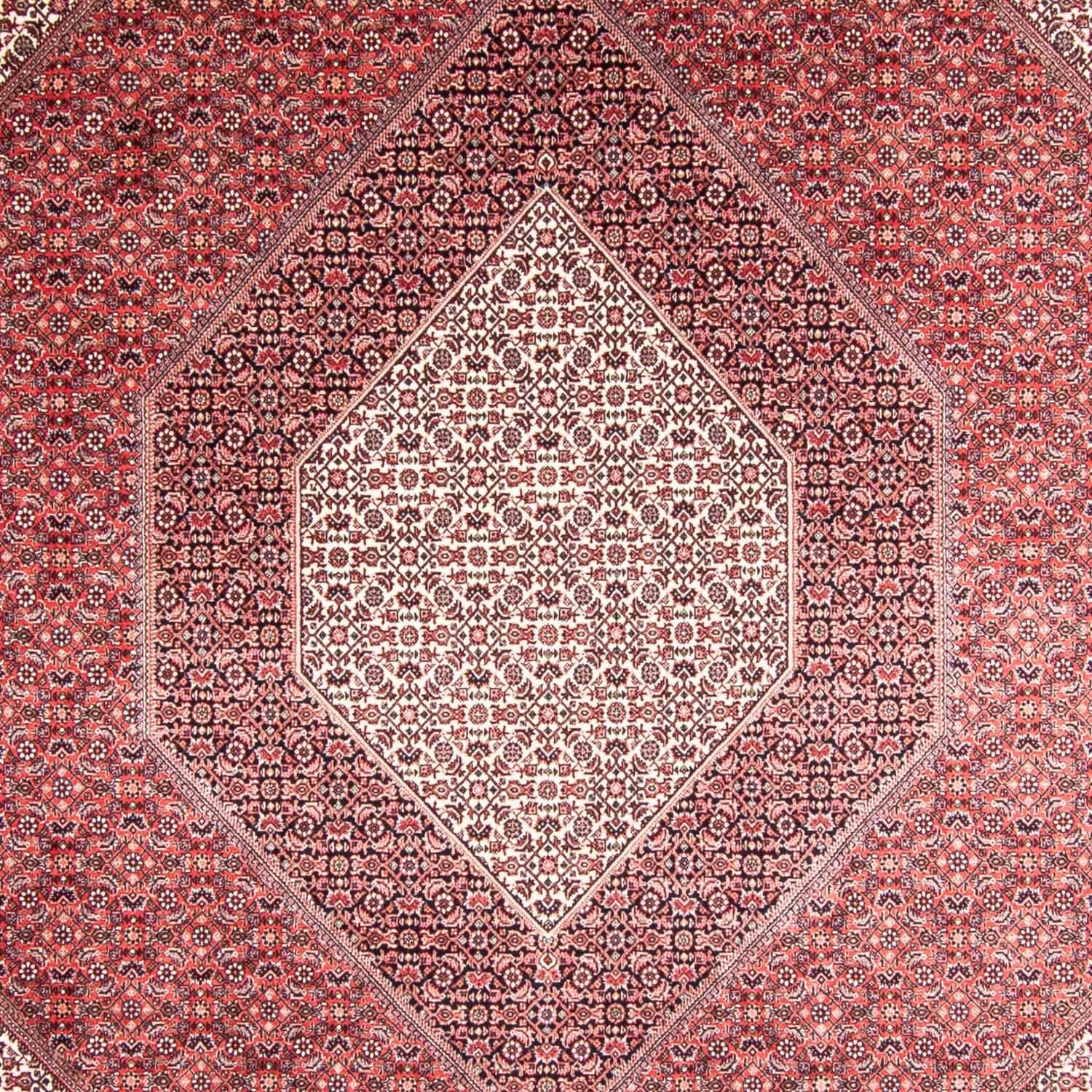 Perserteppich - Bidjar 355 x 248 cm