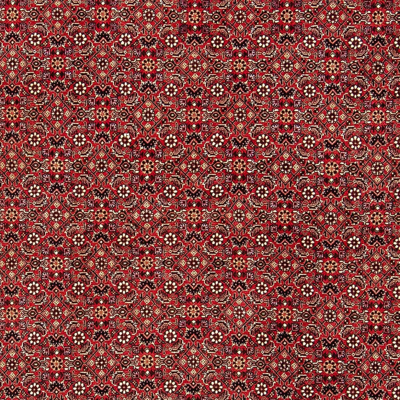Perserteppich - Bidjar 248 x 174 cm