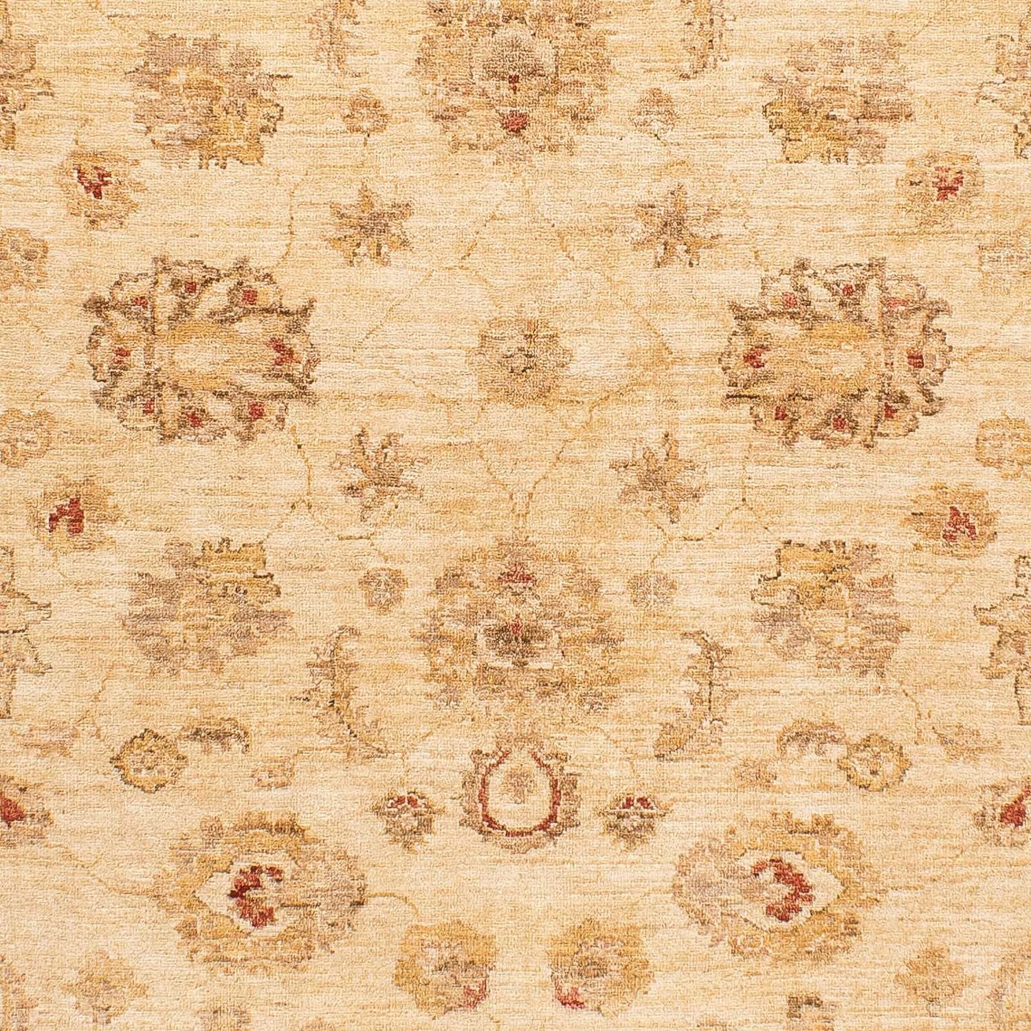 Ziegler Teppich 229 x 168 cm - hellbraun