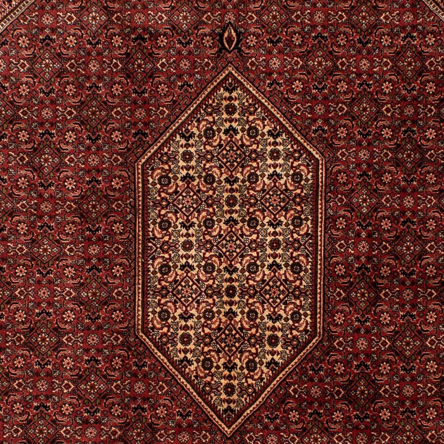 Perserteppich - Bidjar 293 x 200 cm
