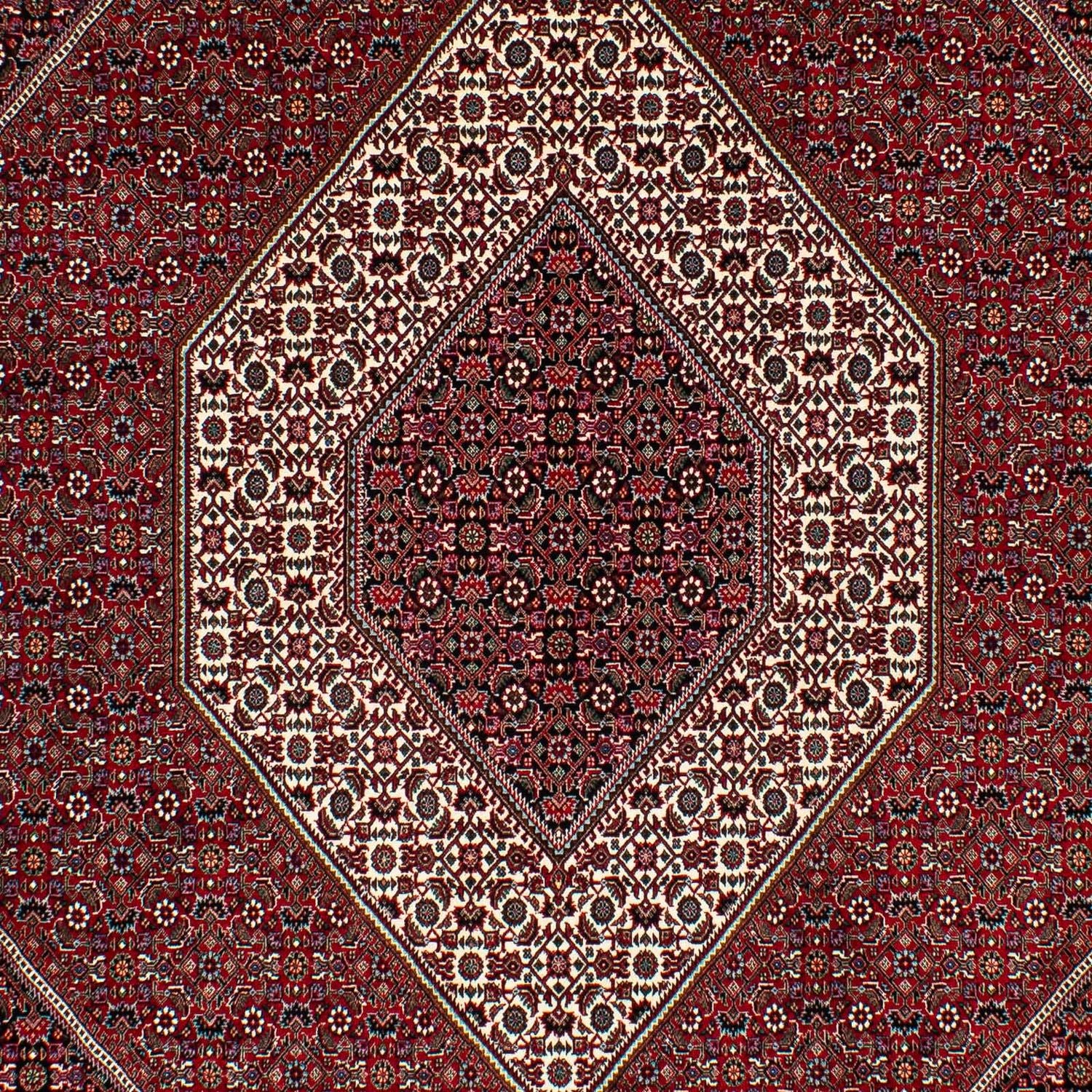 Perserteppich - Bidjar 295 x 202 cm