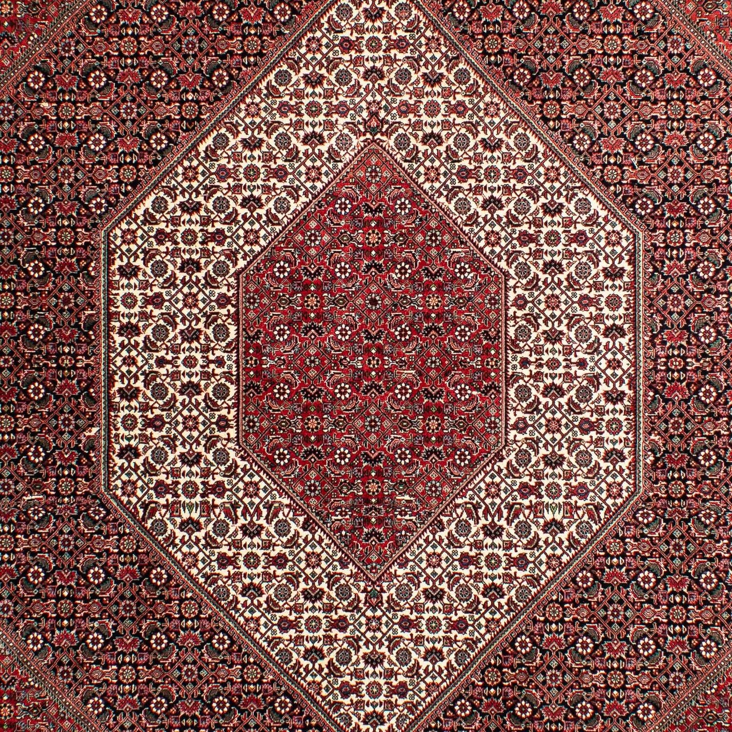 Perserteppich - Bidjar 293 x 203 cm Wohnzimmer Teppich