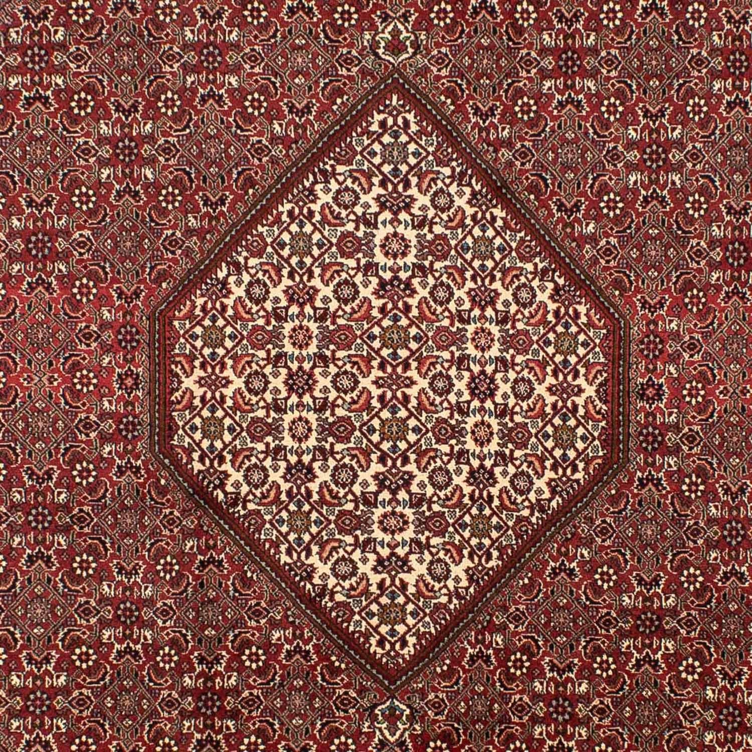Perserteppich - Bidjar 295 x 204 cm