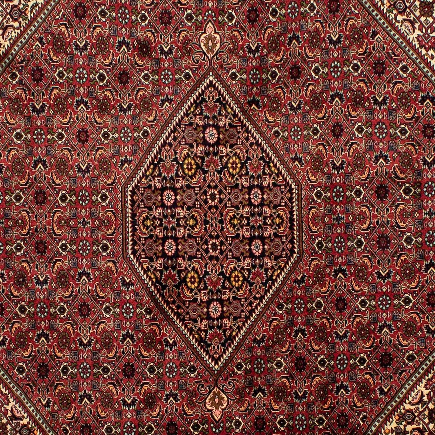 Perserteppich - Bidjar 305 x 200 cm