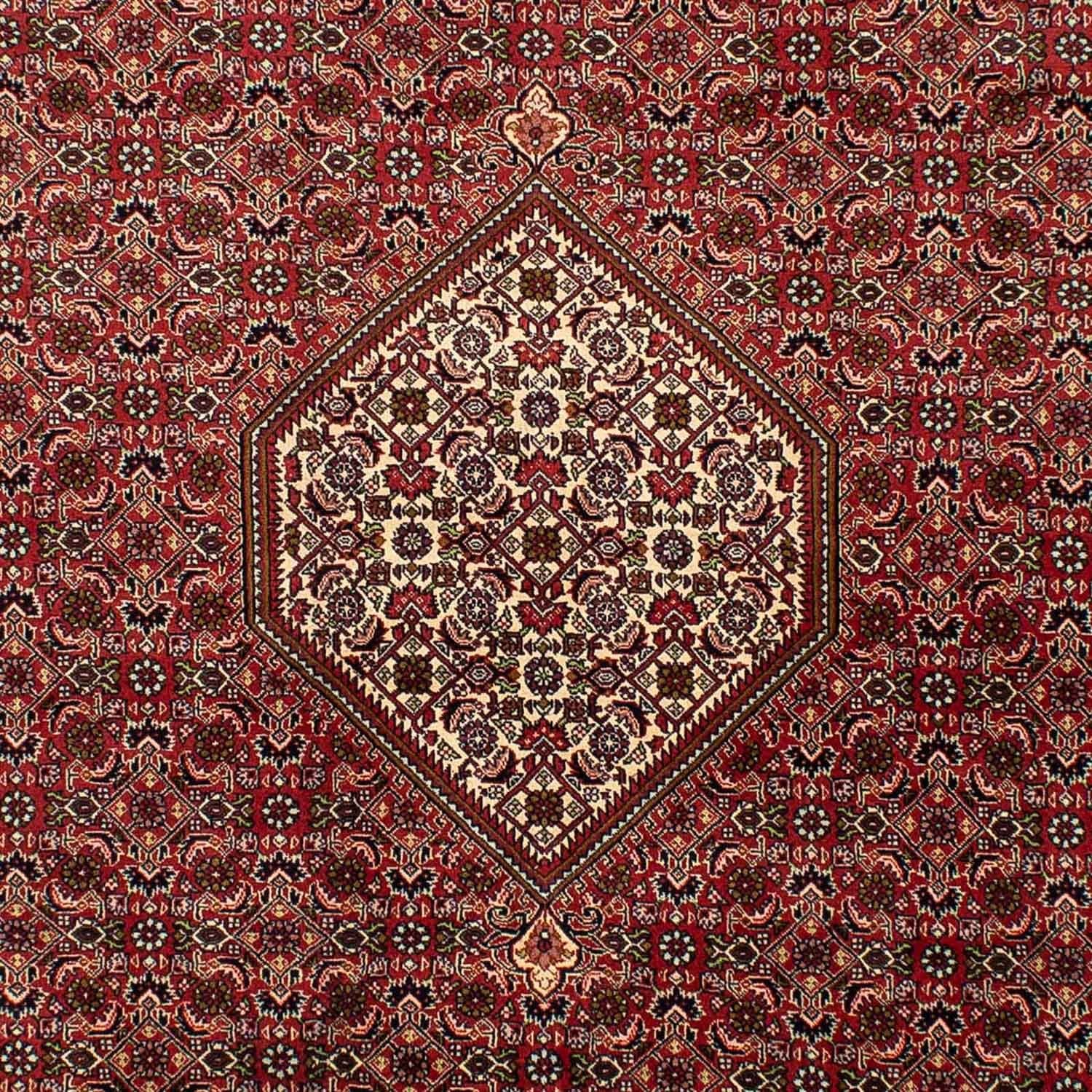 Perserteppich - Bidjar 302 x 198 cm