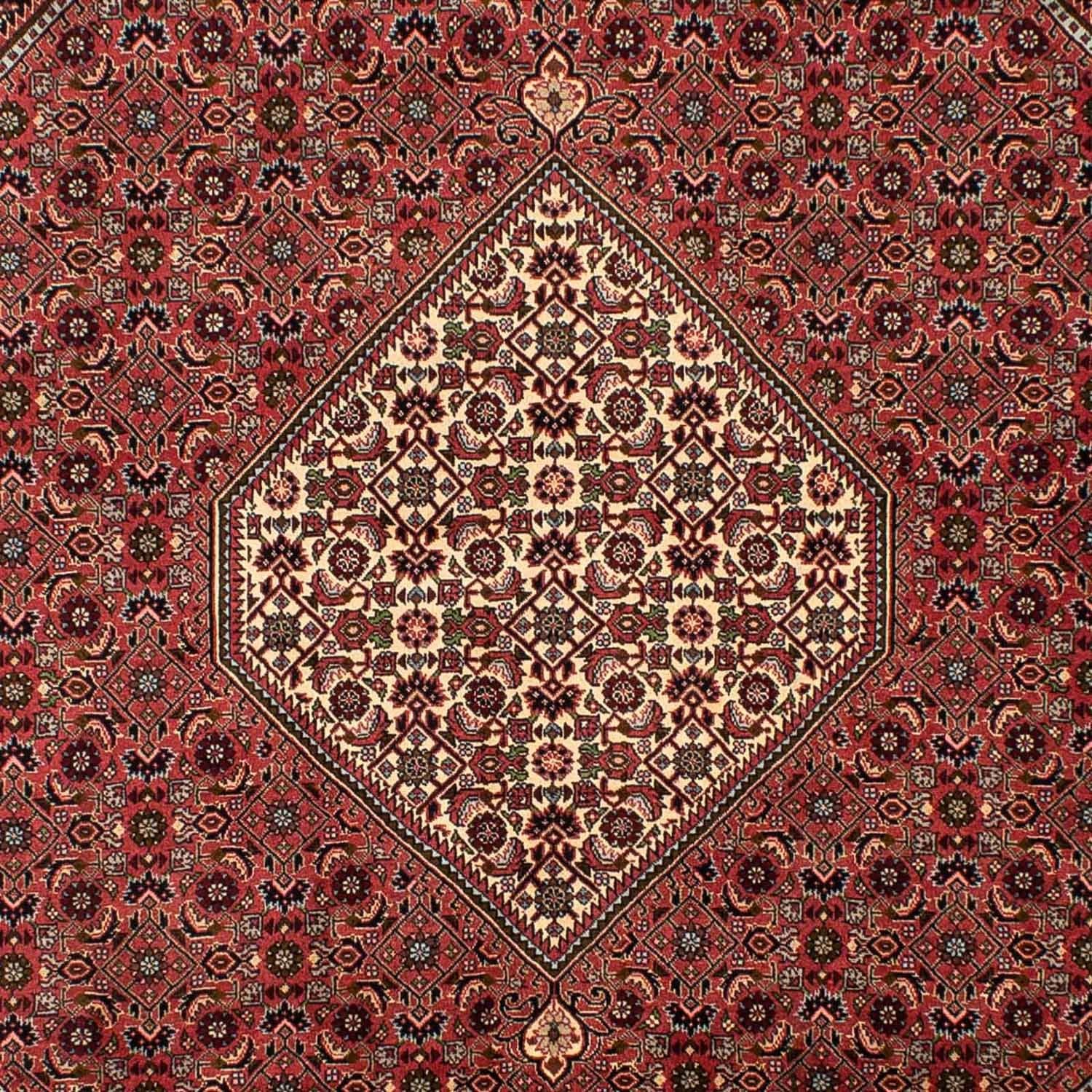 Perserteppich - Bidjar 308 x 200 cm