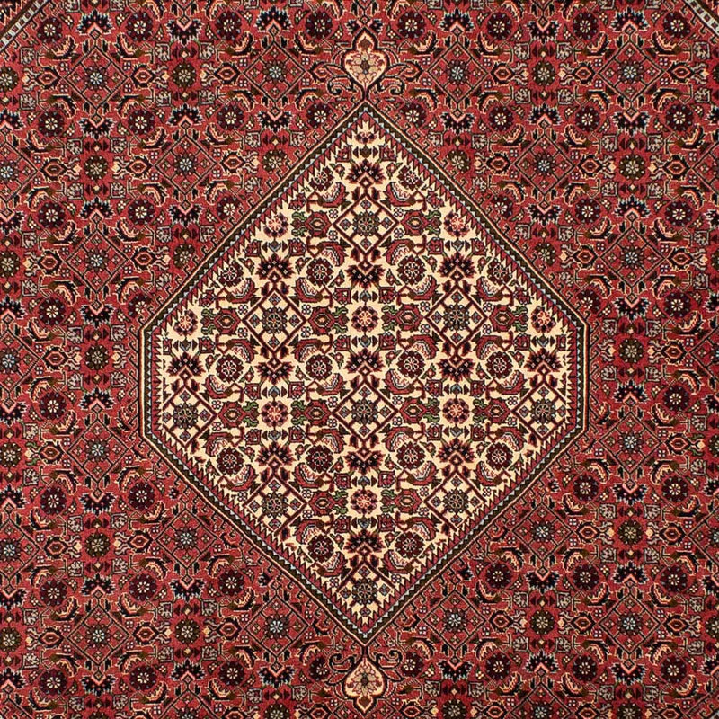 Perserteppich - Bidjar 308 x 200 cm