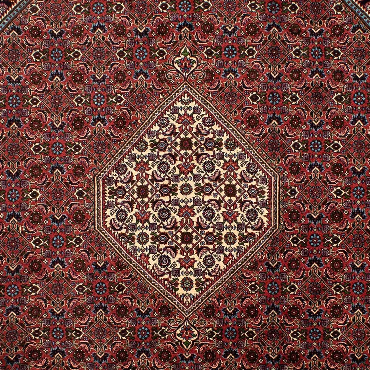 Perserteppich - Bidjar 302 x 198 cm