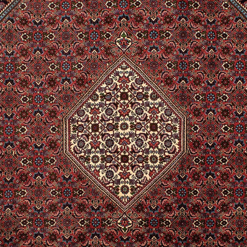 Perserteppich - Bidjar 302 x 198 cm