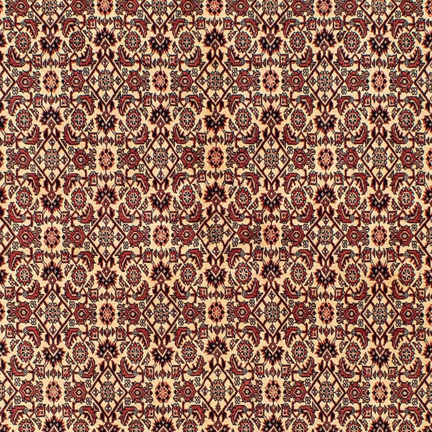 Perserteppich - Bidjar 254 x 171 cm - braun