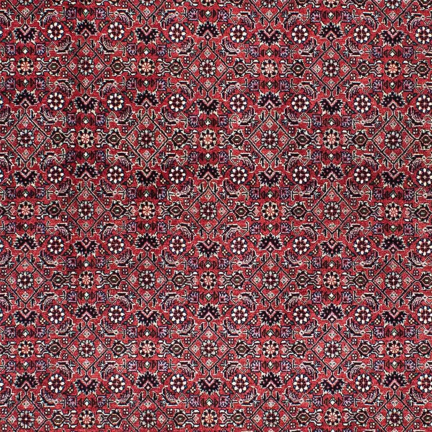 Perserteppich - Bidjar - Royal 200 x 133 cm