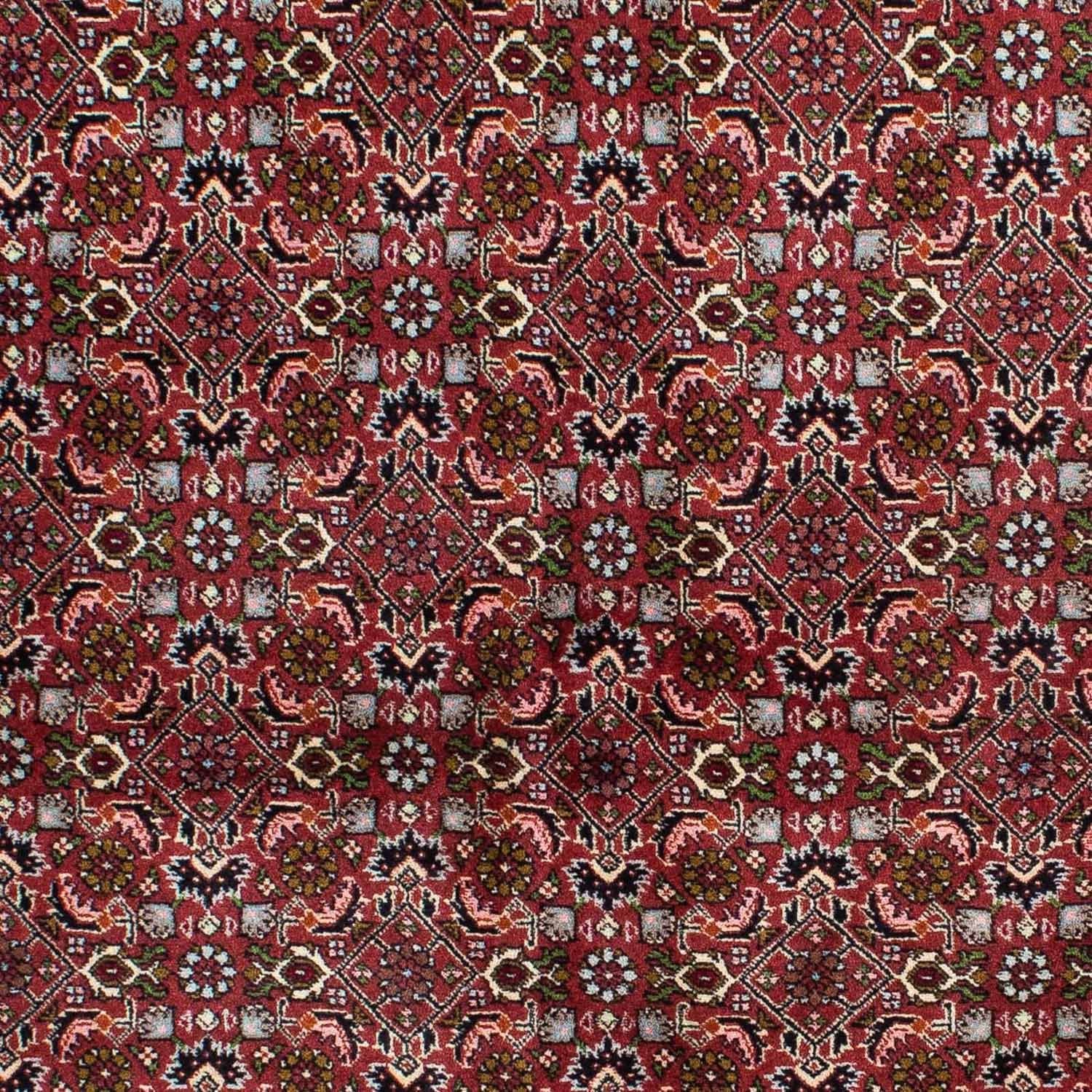 Perserteppich - Bidjar 231 x 138 cm
