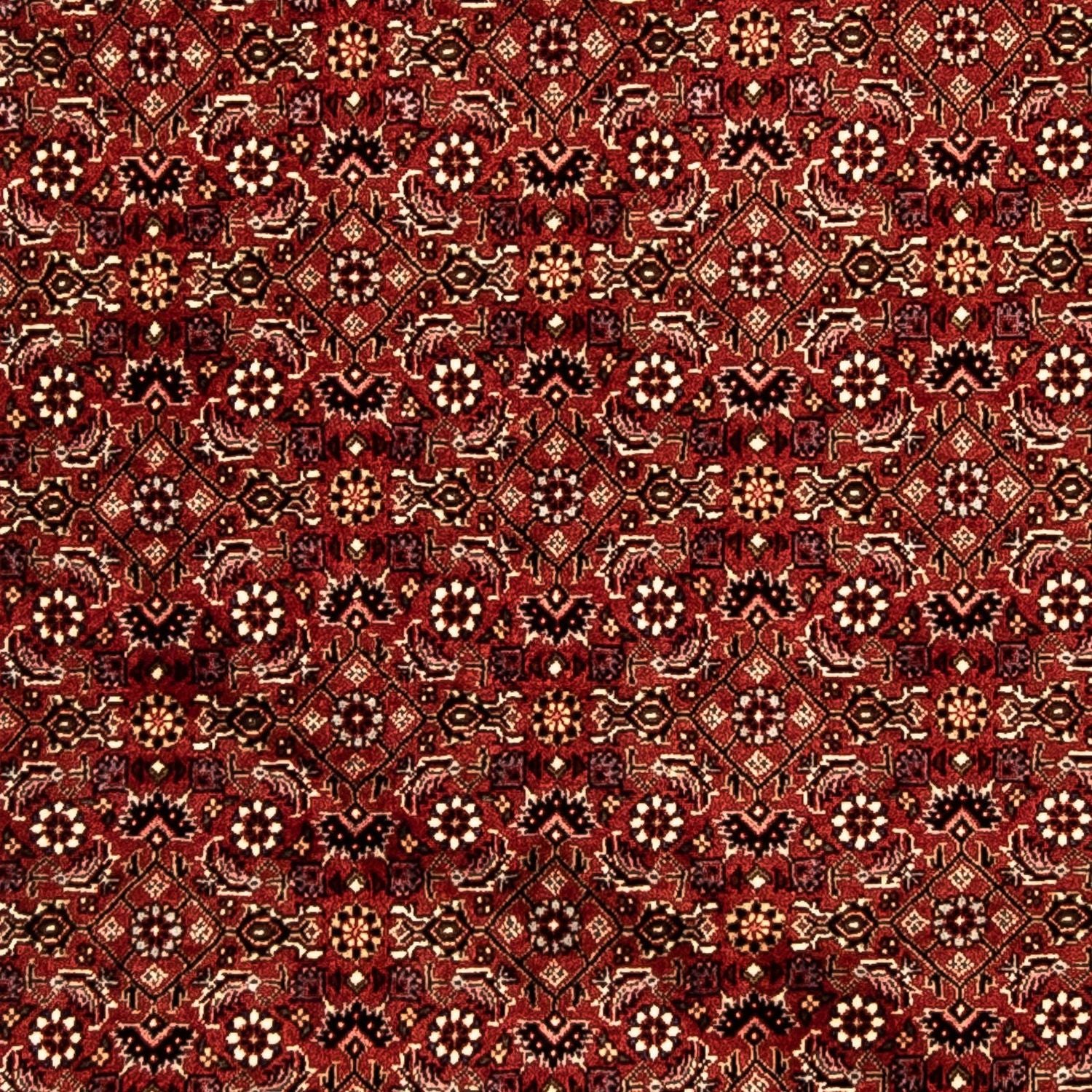 Perserteppich - Bidjar 288 x 85 cm
