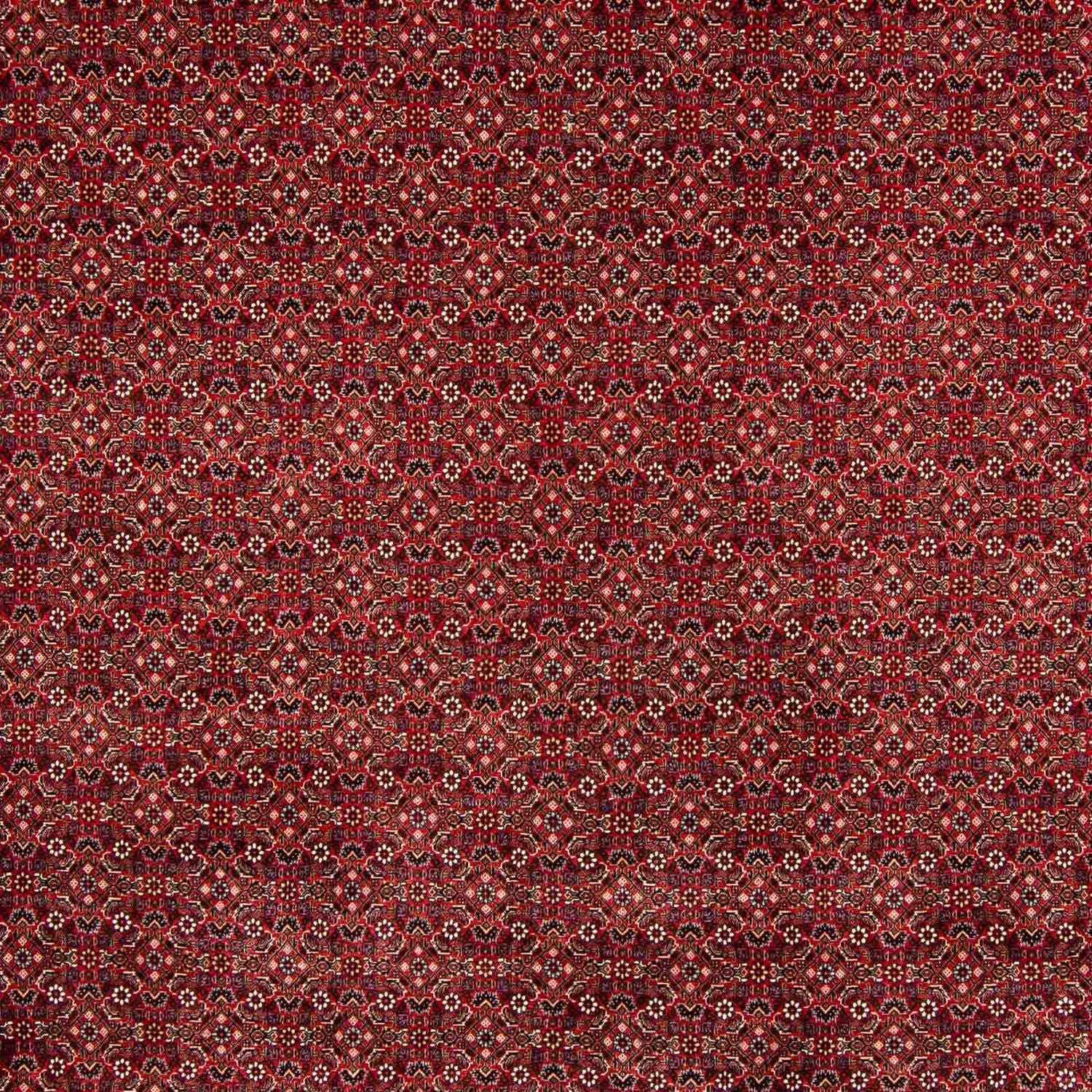 Perserteppich - Bidjar 400 x 308 cm