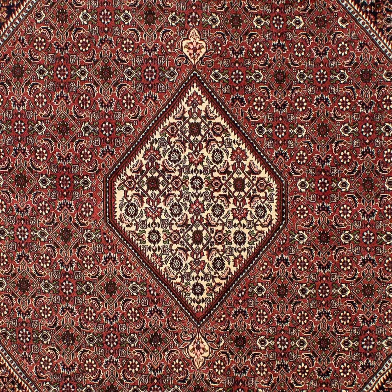 Perserteppich - Bidjar 298 x 200 cm - braun