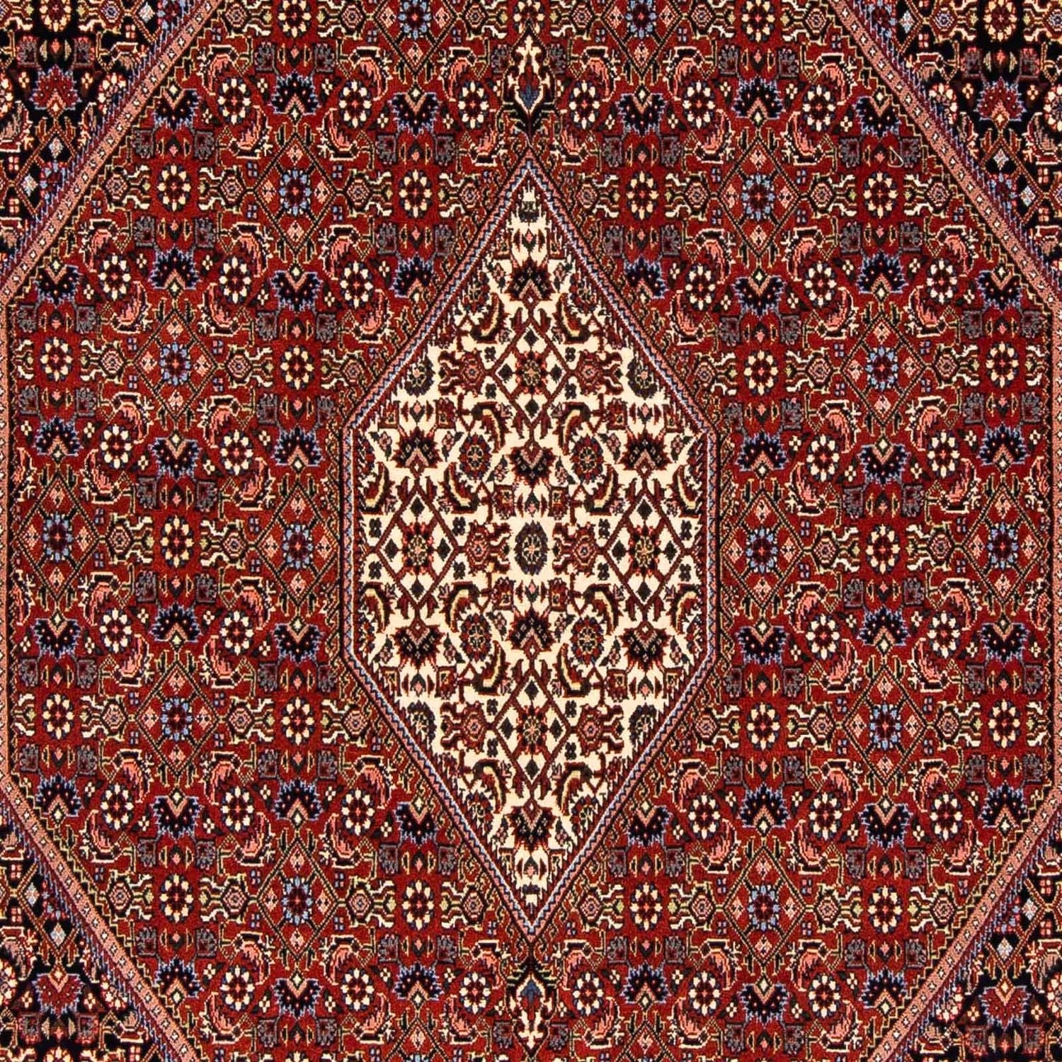 Perserteppich - Bidjar 241 x 170 cm