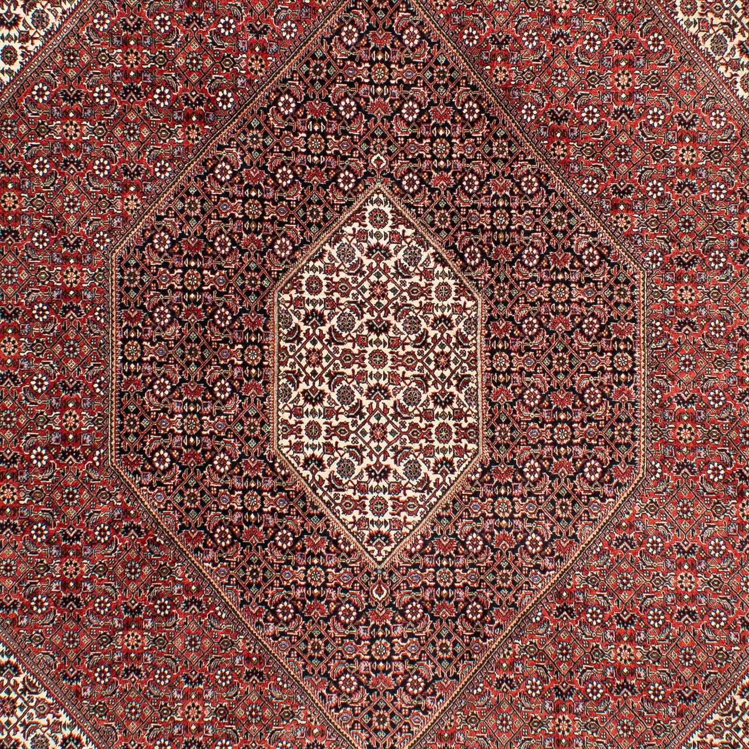Perserteppich - Bidjar 294 x 204 cm