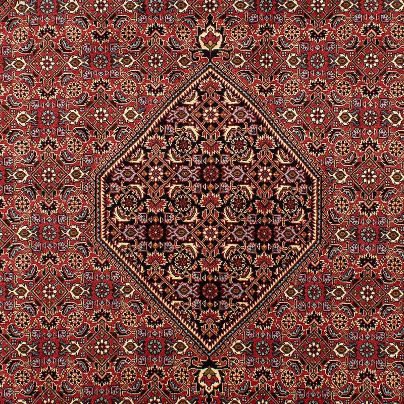 Perserteppich - Bidjar 296 x 198 cm