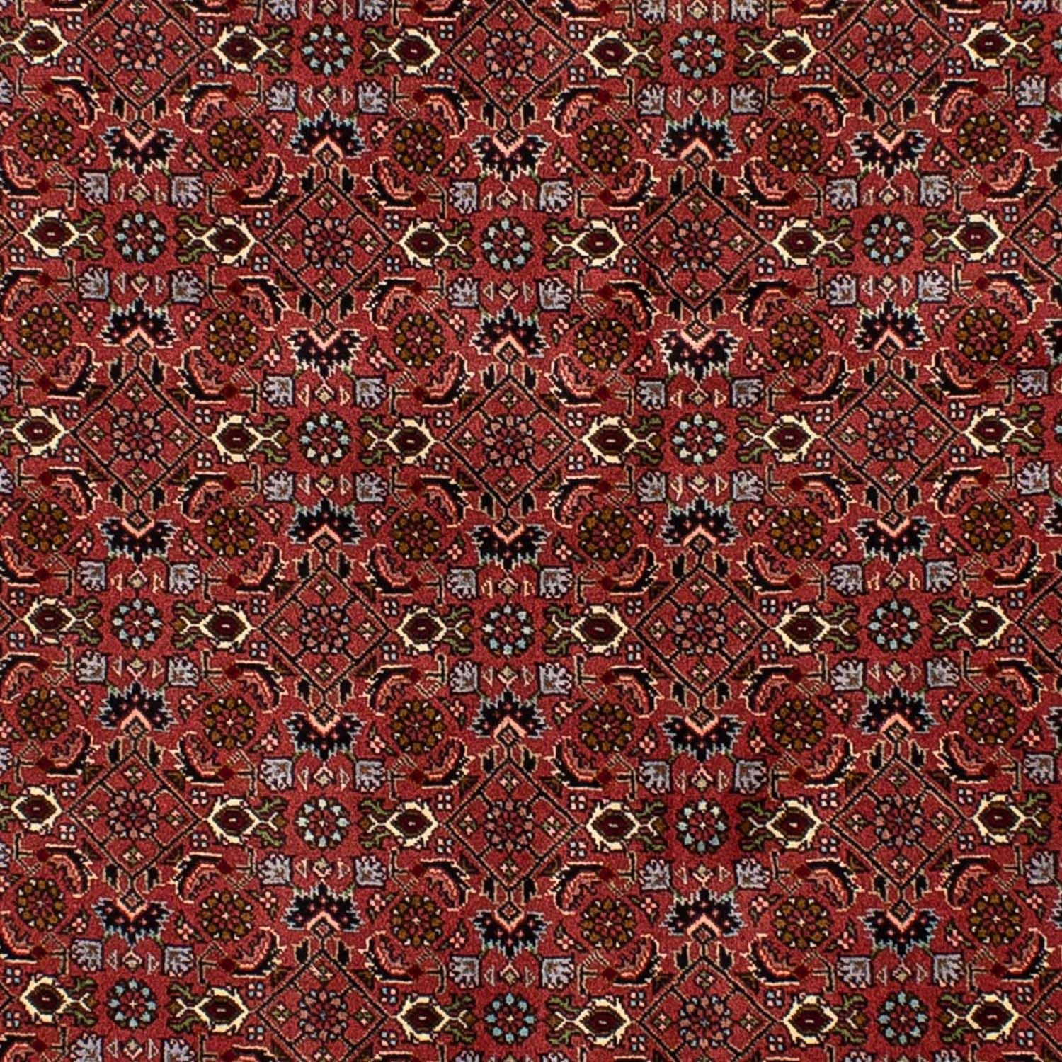 Perserteppich - Bidjar 205 x 136 cm