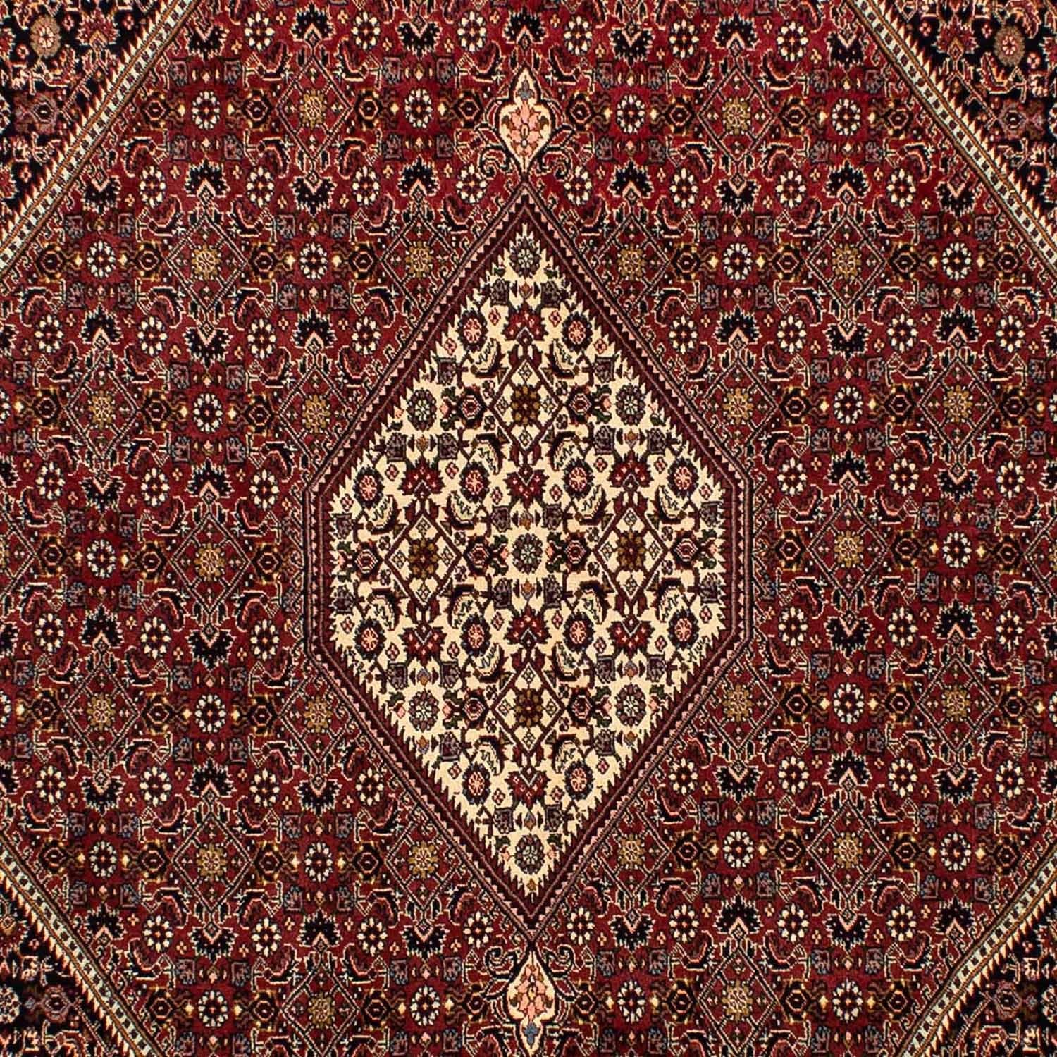 Perserteppich - Bidjar 296 x 201 cm