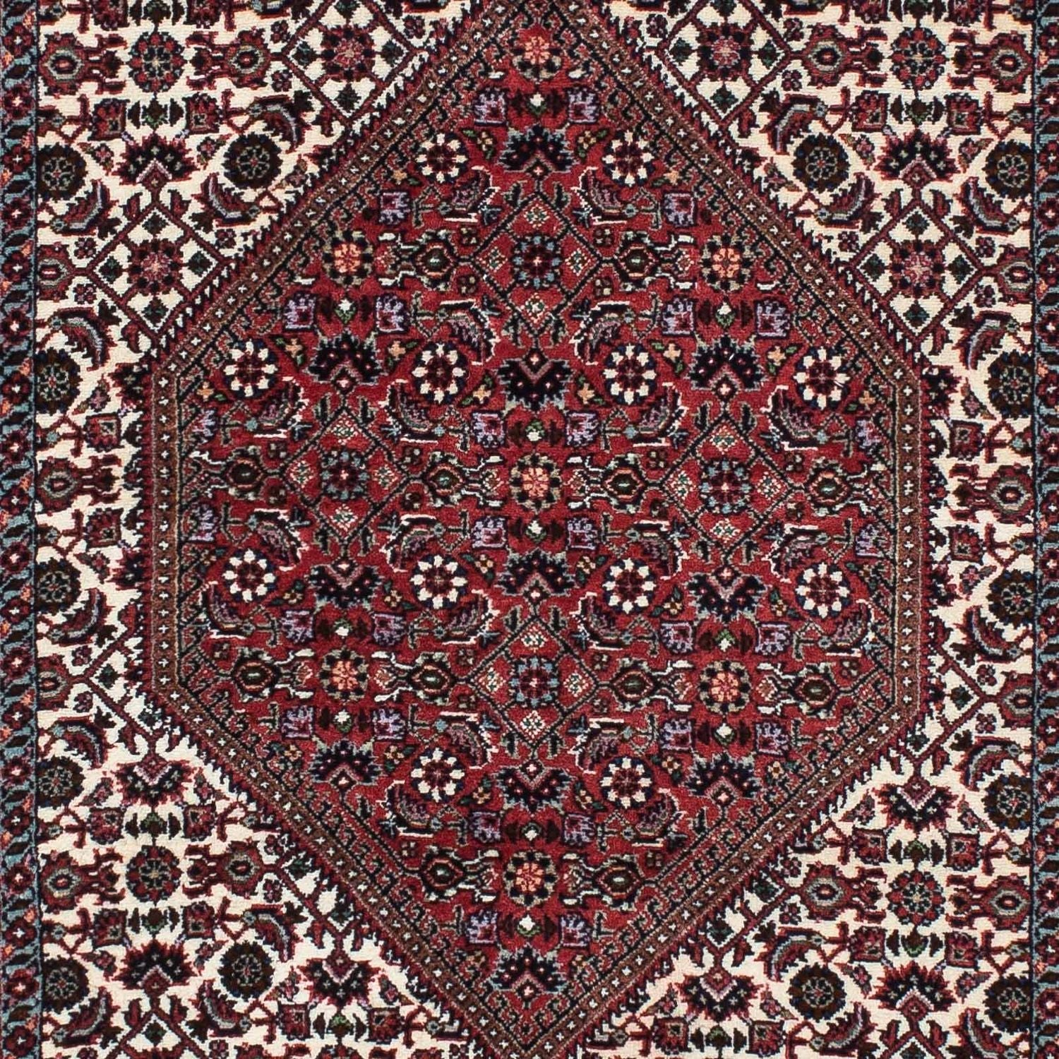 Perserteppich - Bidjar - Royal 217 x 74 cm