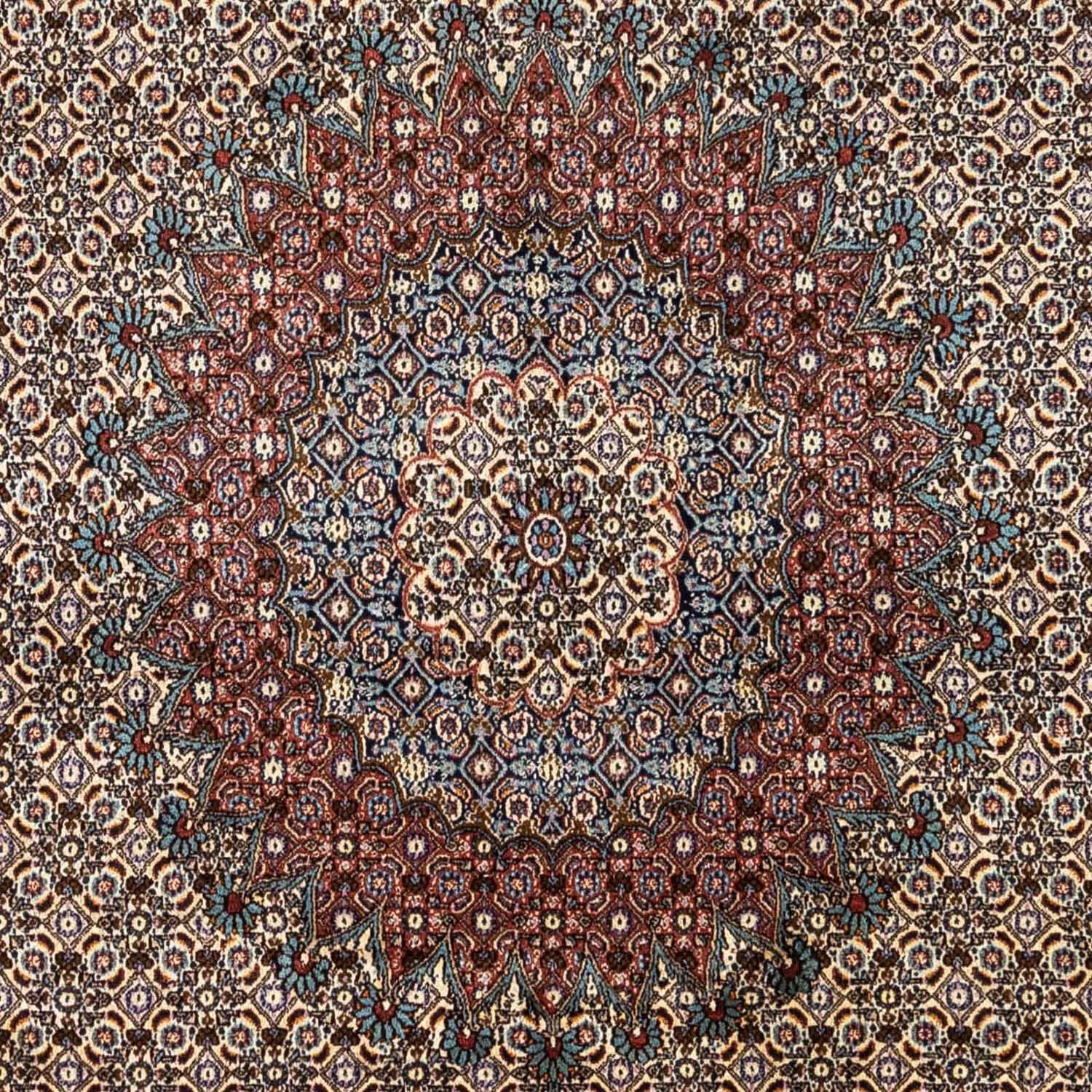 Perserteppich - Classic 340 x 252 cm