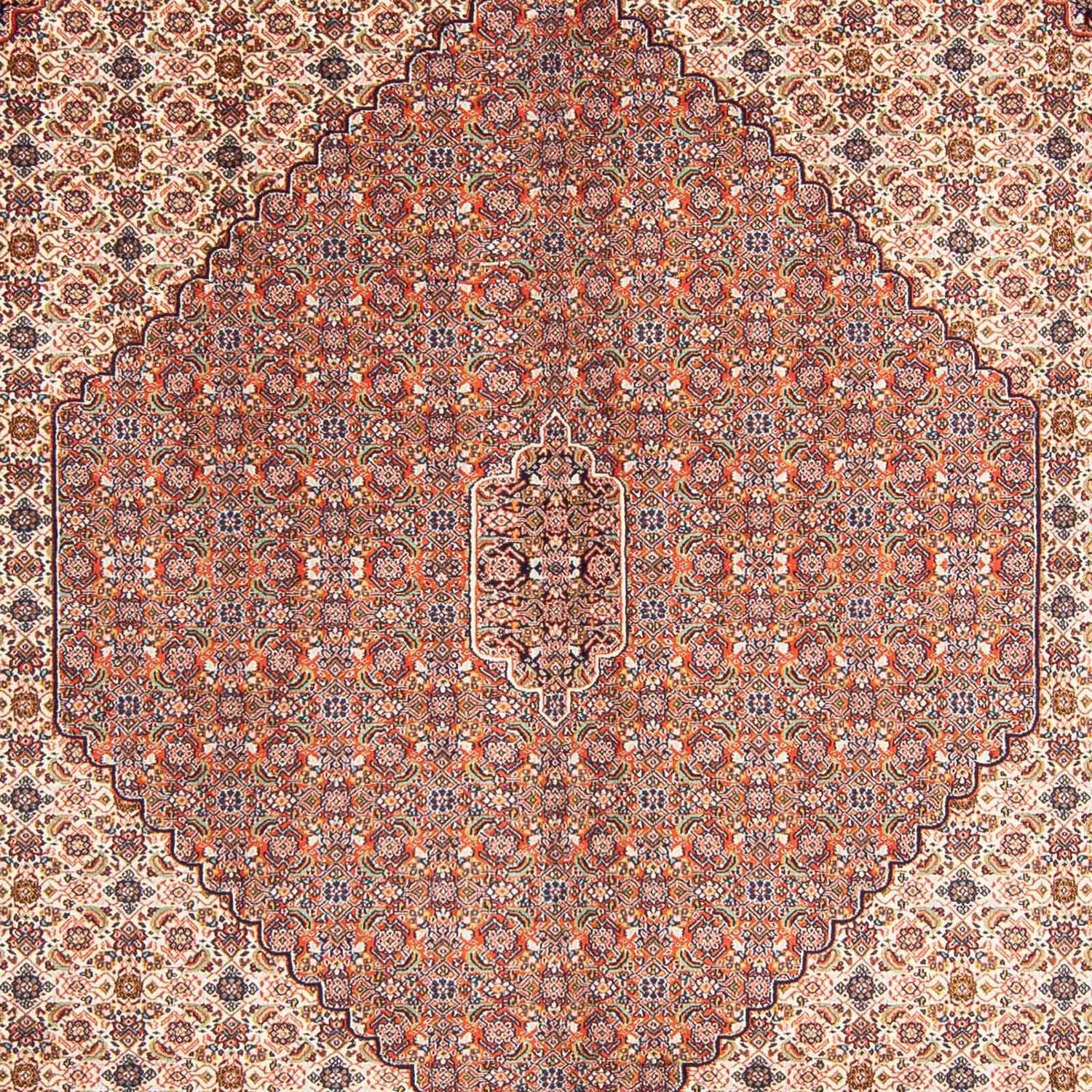 Perserteppich - Nomadic 313 x 212 cm