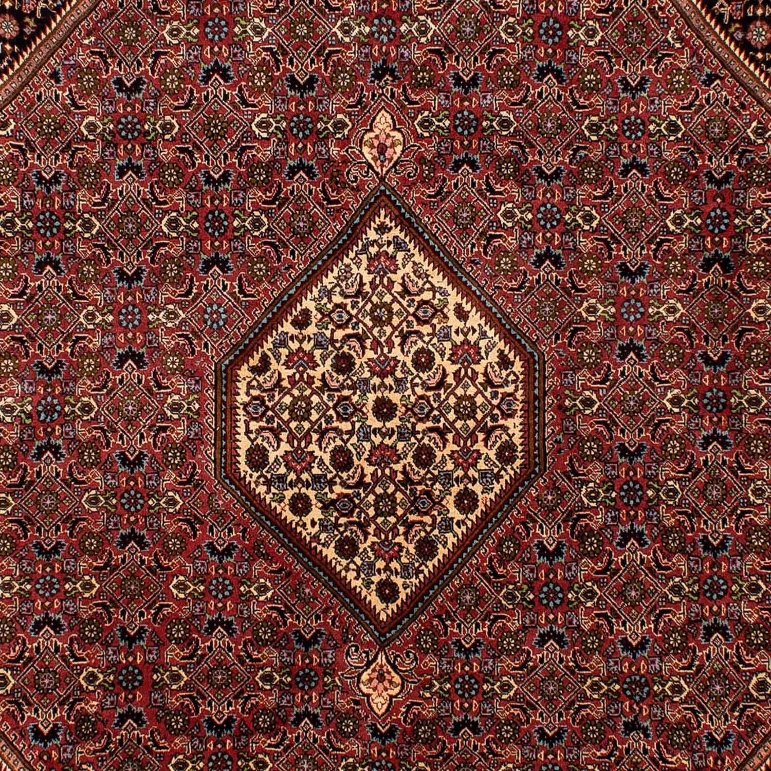 Perserteppich - Bidjar 288 x 202 cm