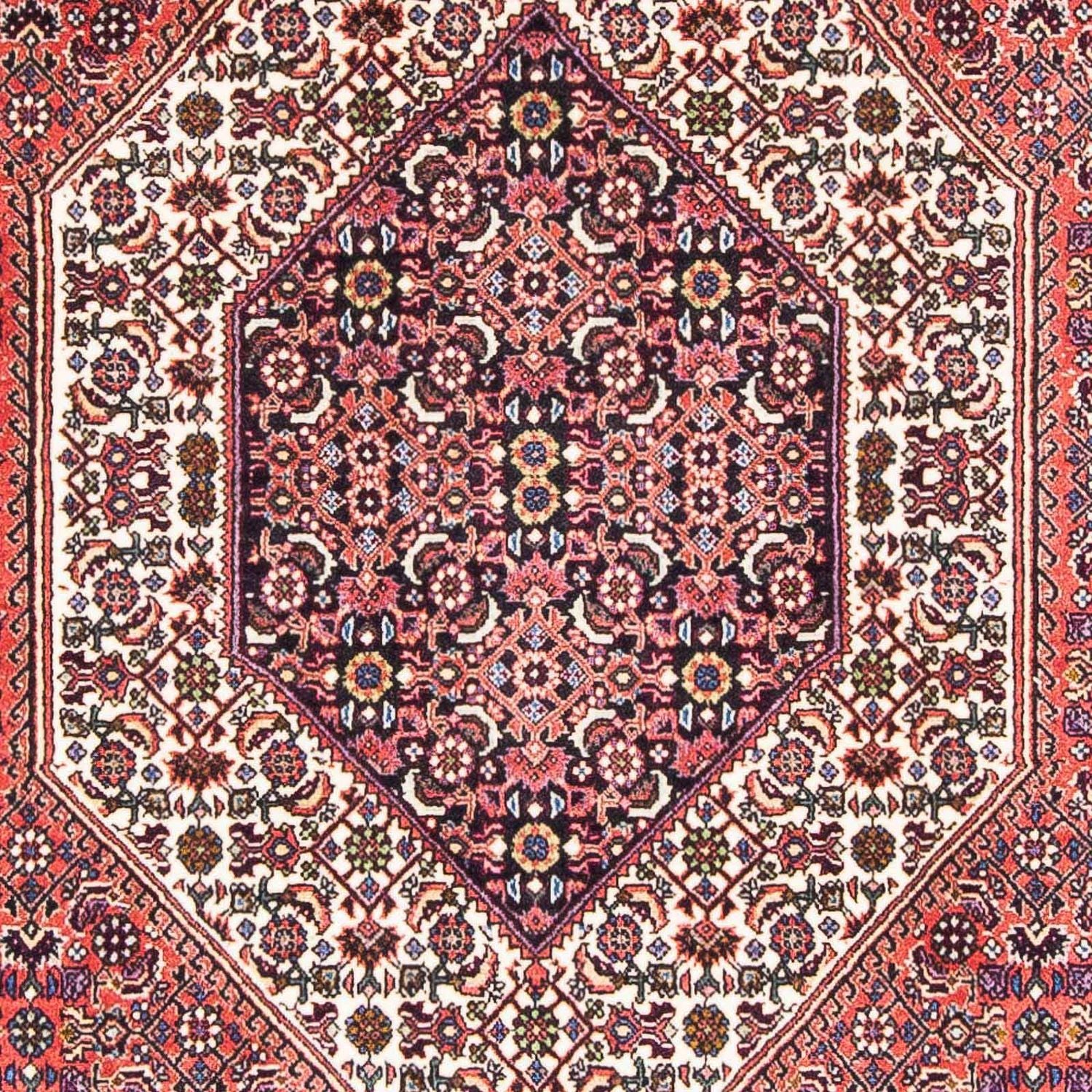 Perserteppich - Bidjar - Royal 182 x 112 cm