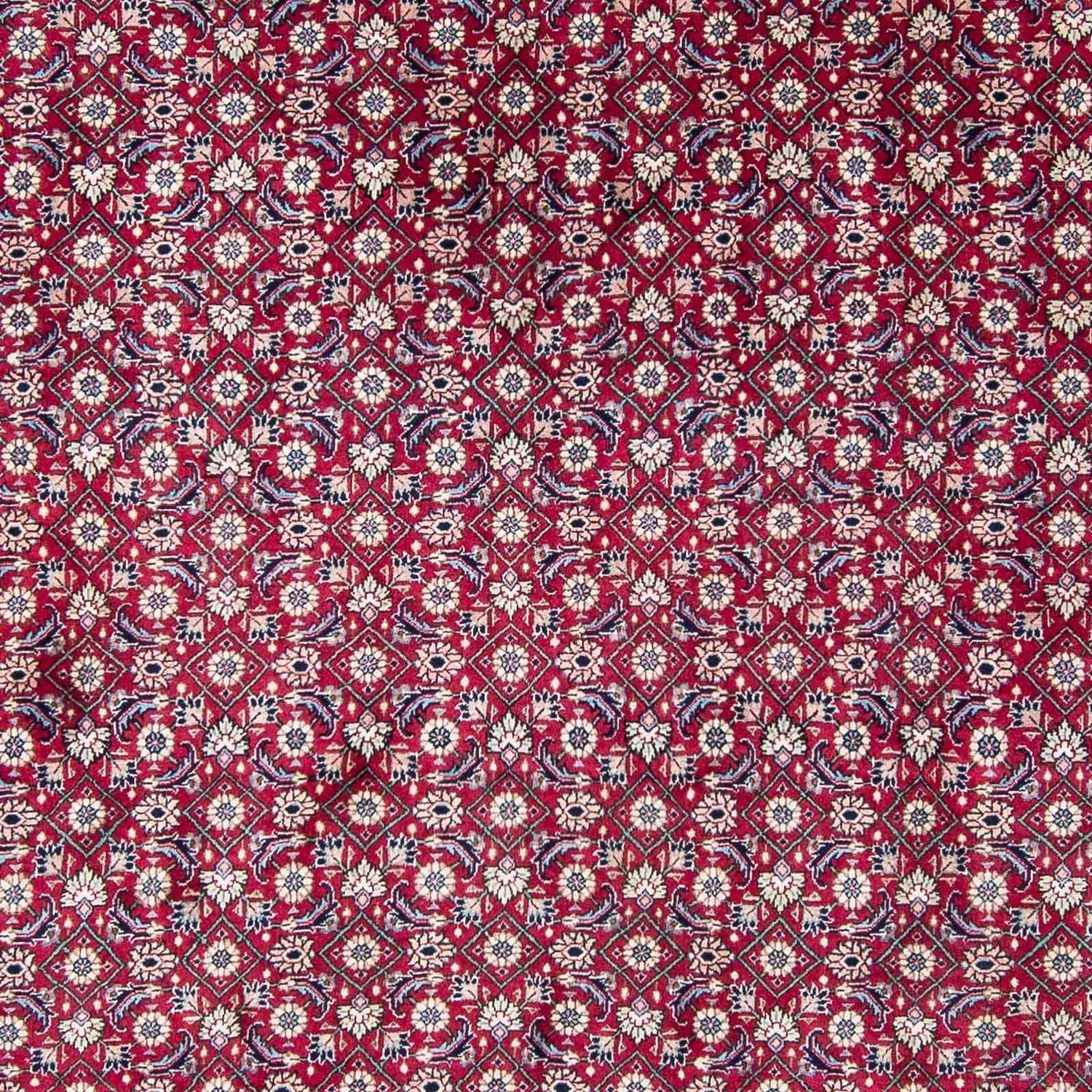 Perserteppich - Nomadic 328 x 254 cm
