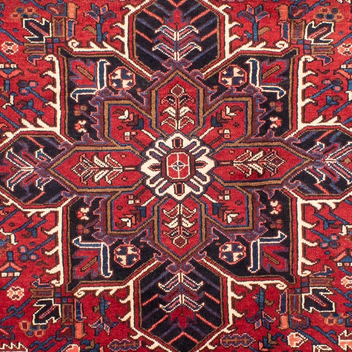Perserteppich - Nomadic 290 x 200 cm