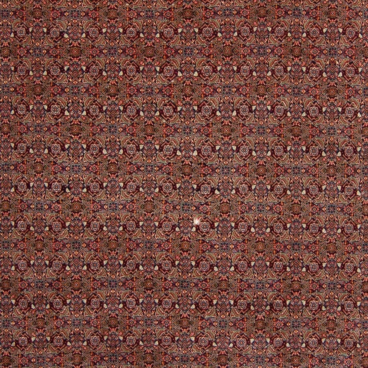 Perserteppich - Nomadic 348 x 253 cm
