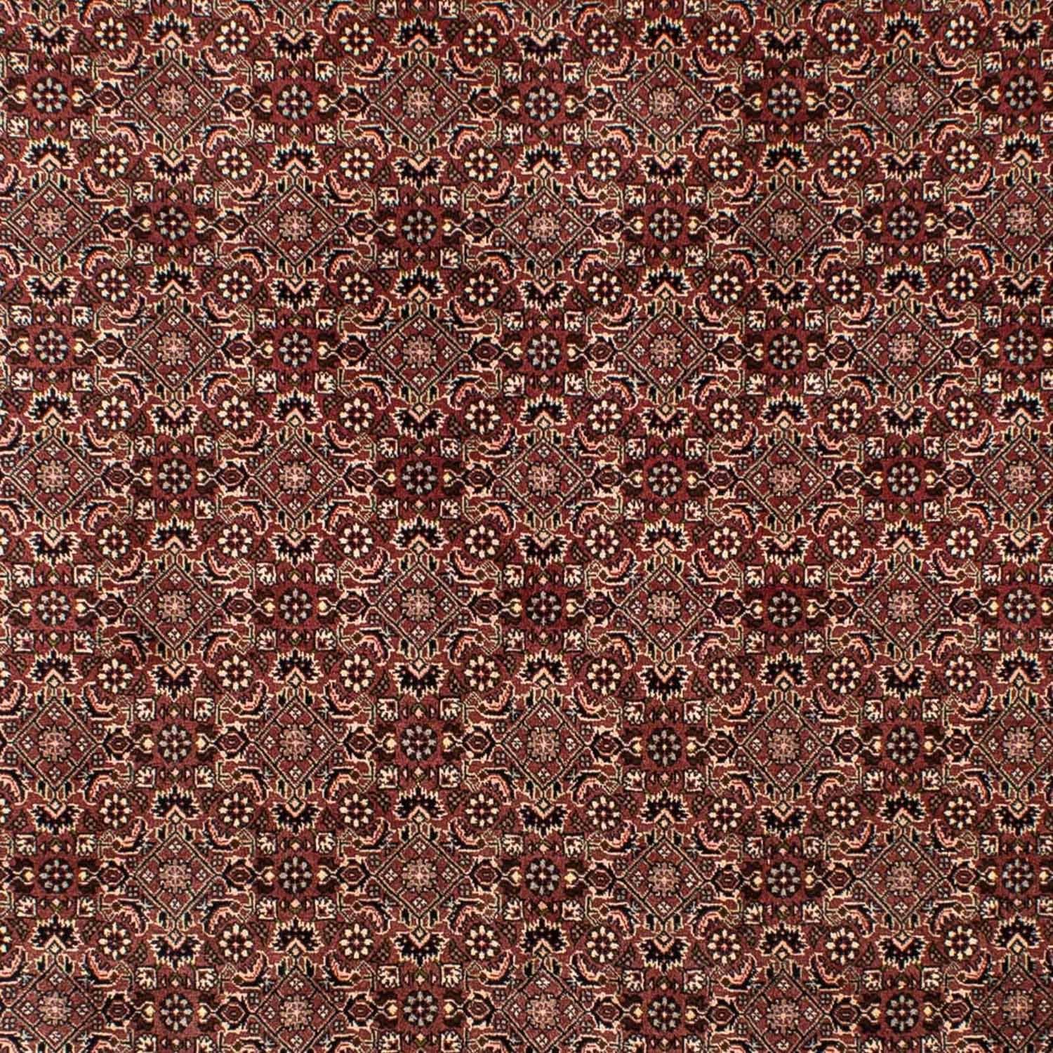 Perserteppich - Nomadic 307 x 192 cm